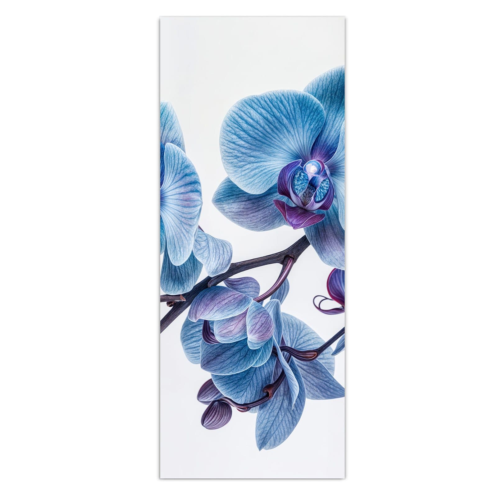 #grösse_50 x 125 cm #grösse_40 x 100 cm #grösse_60 x 150 cm