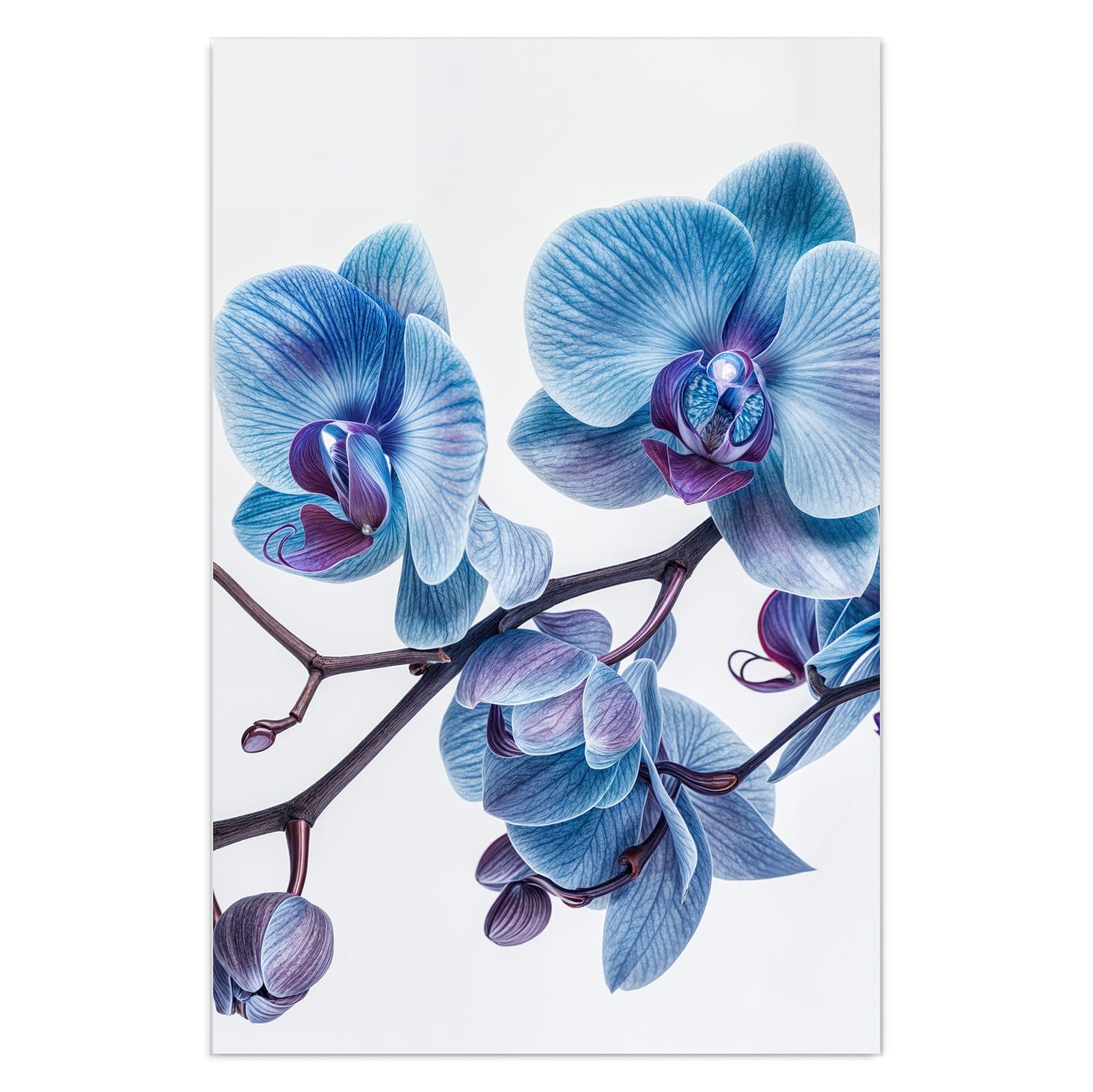 #grösse_40 x 60 cm #grösse_50 x 75 cm #grösse_60 x 90 cm