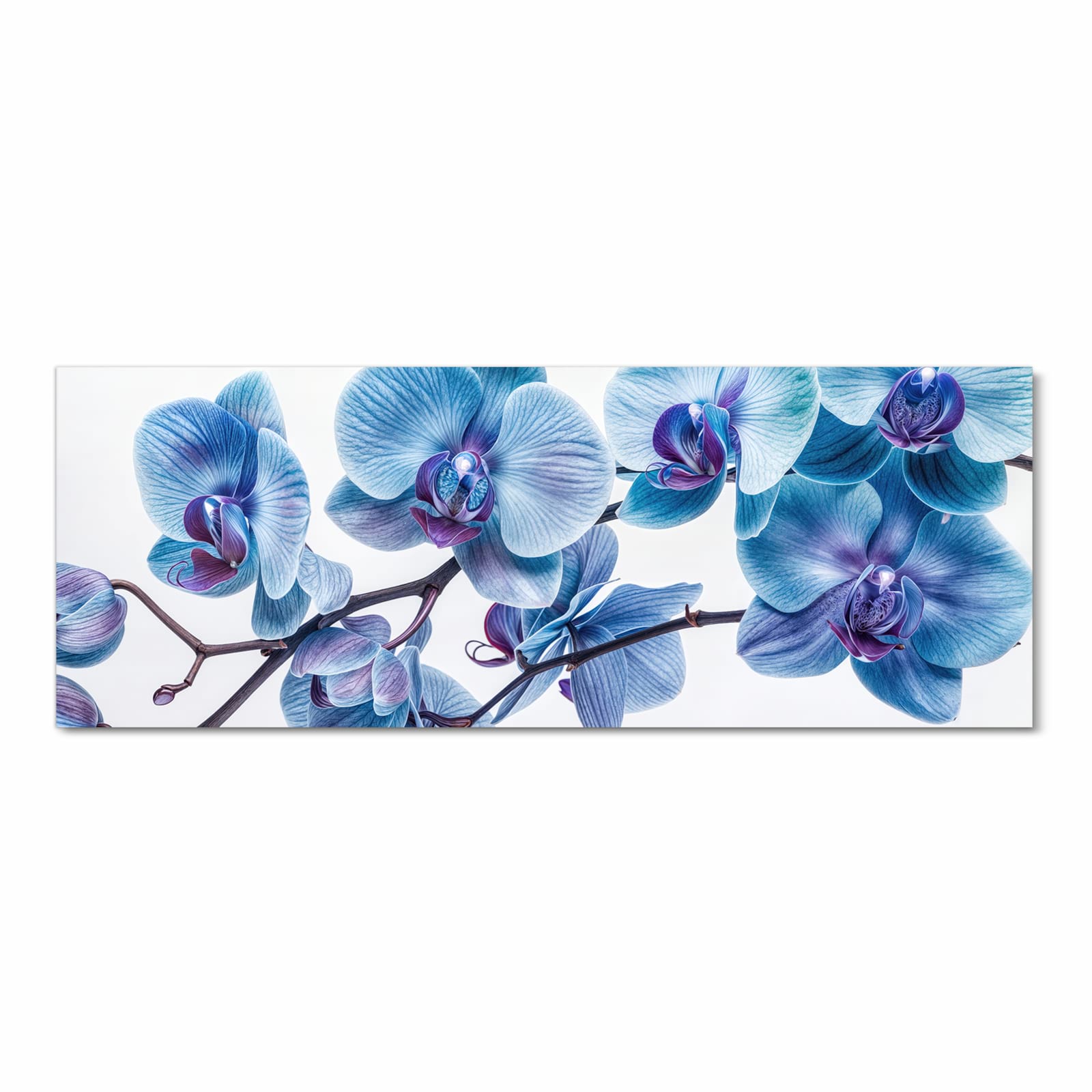 Bodenschonender Küchenteppich mit Motiv Blaue Orchideen Blüte in Frontansicht