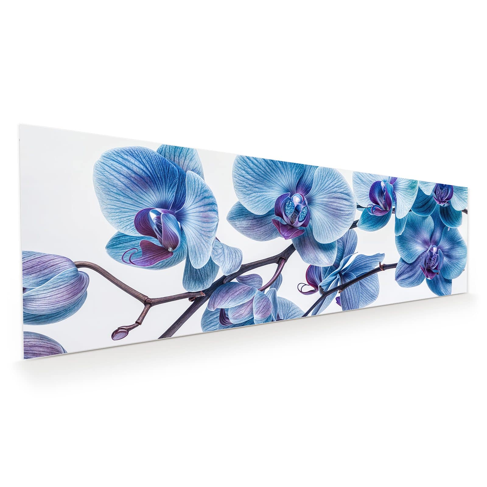 #grösse_120 x 40 cm