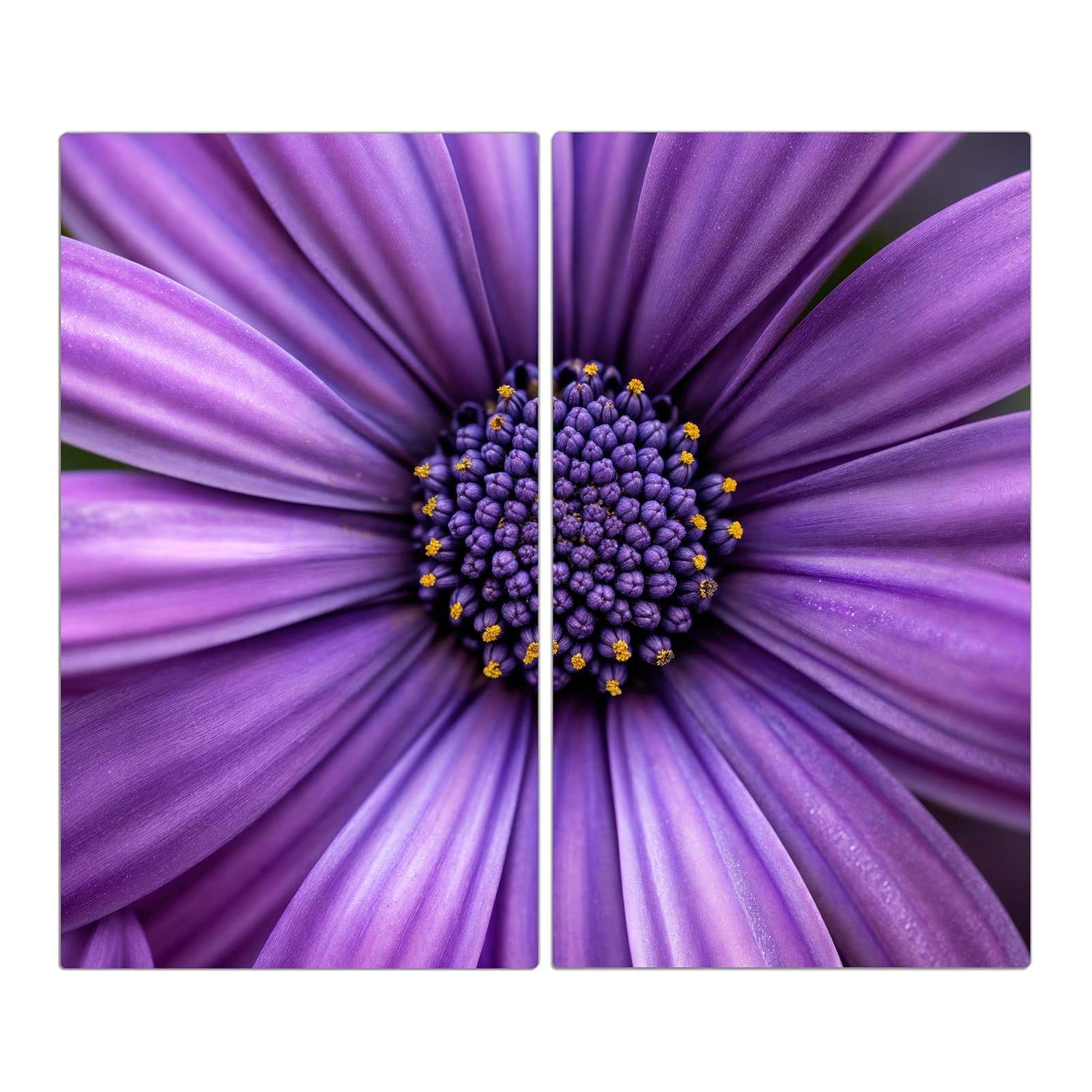 #grösse_2-teilig (je 30x52cm)