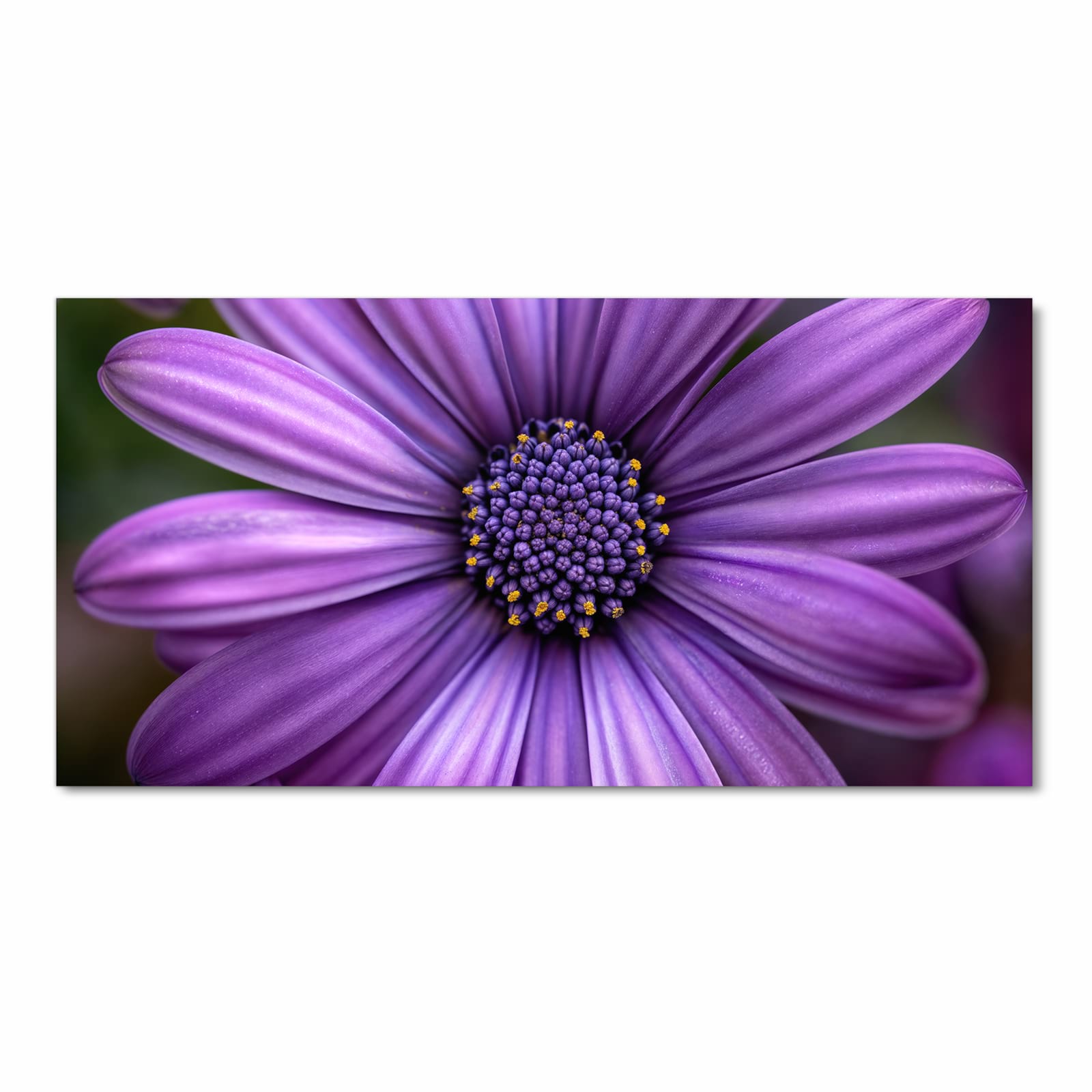 Geräuschdämpfender Küchenteppich mit Motiv Blume Nahaufnahme in Frontansicht