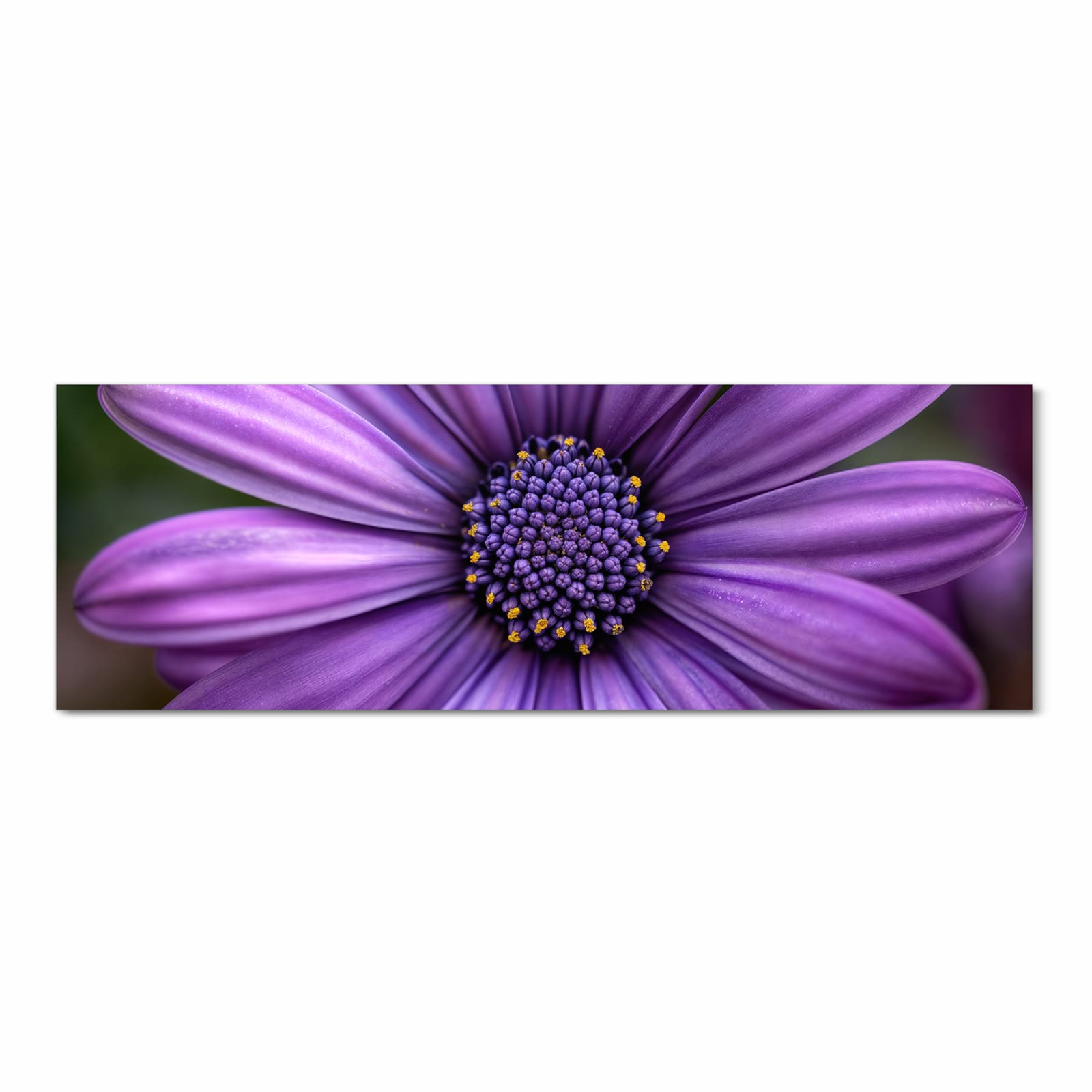 UV-beständiger Küchenteppich mit Motiv Blume Nahaufnahme in Frontansicht