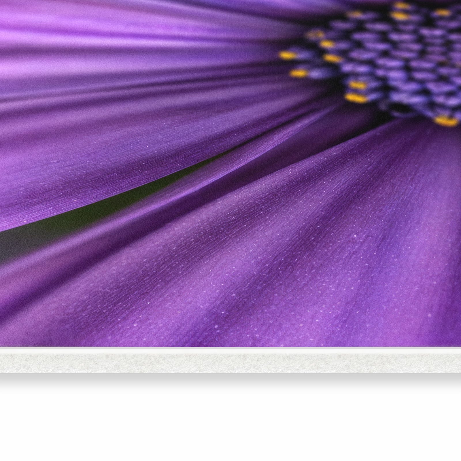 Geruchsneutraler waschbarer Teppich fürs Esszimmer mit Motiv Blume Nahaufnahme in seitlicher Ansicht