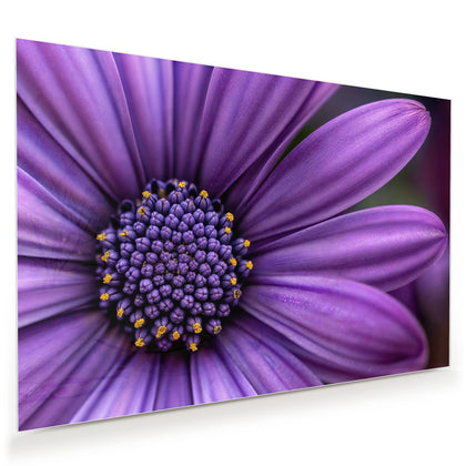 Wandbild mit dem Motiv Lila Kapkörbchen