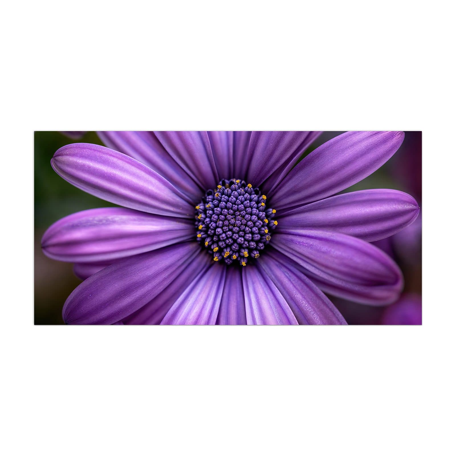 #grösse_40 x 80 cm #grösse_50 x 100 cm #grösse_55 x 110 cm #grösse_60 x 120 cm