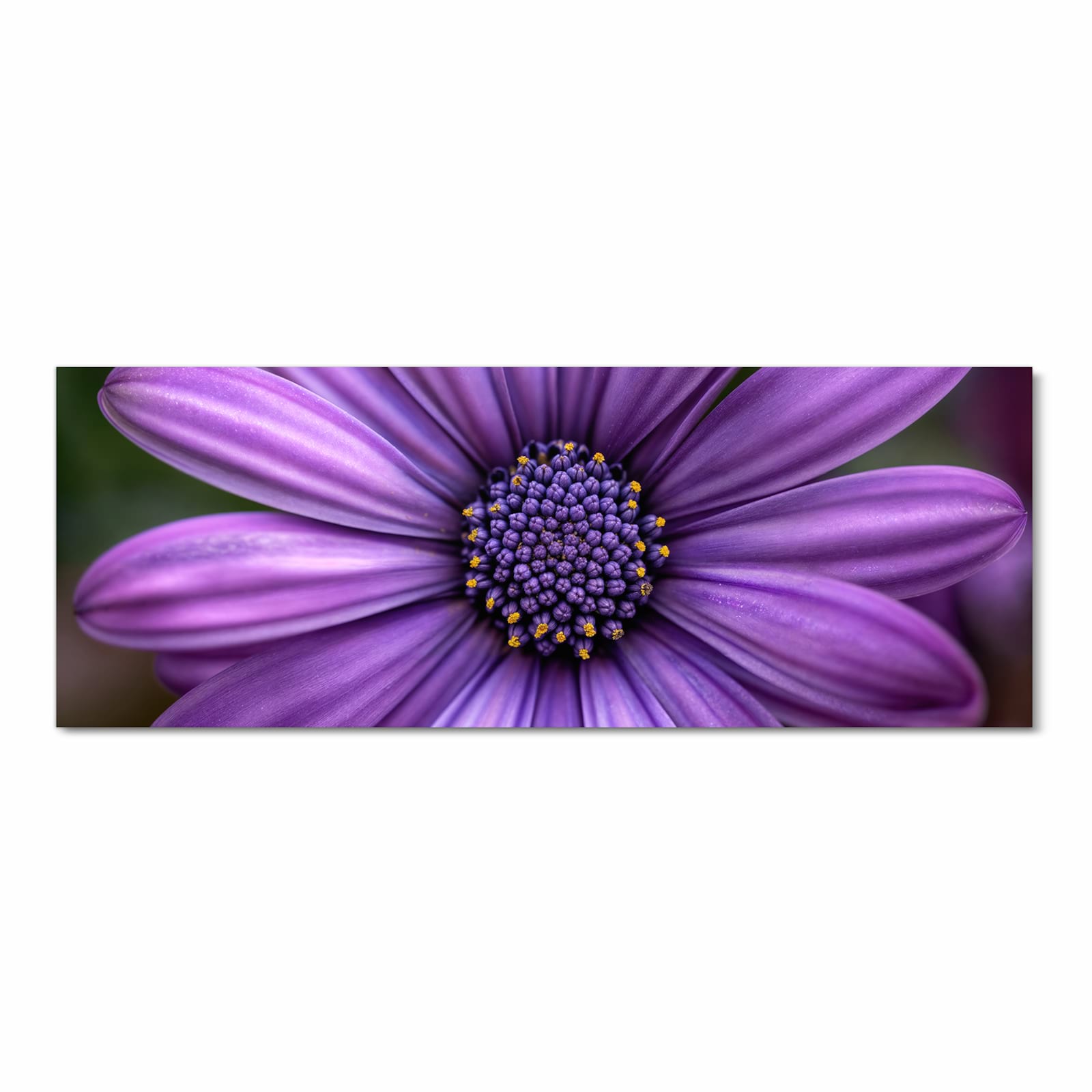 Pflegeleichter waschbarer Küchenläufer mit Motiv Blume Nahaufnahme in Frontansicht