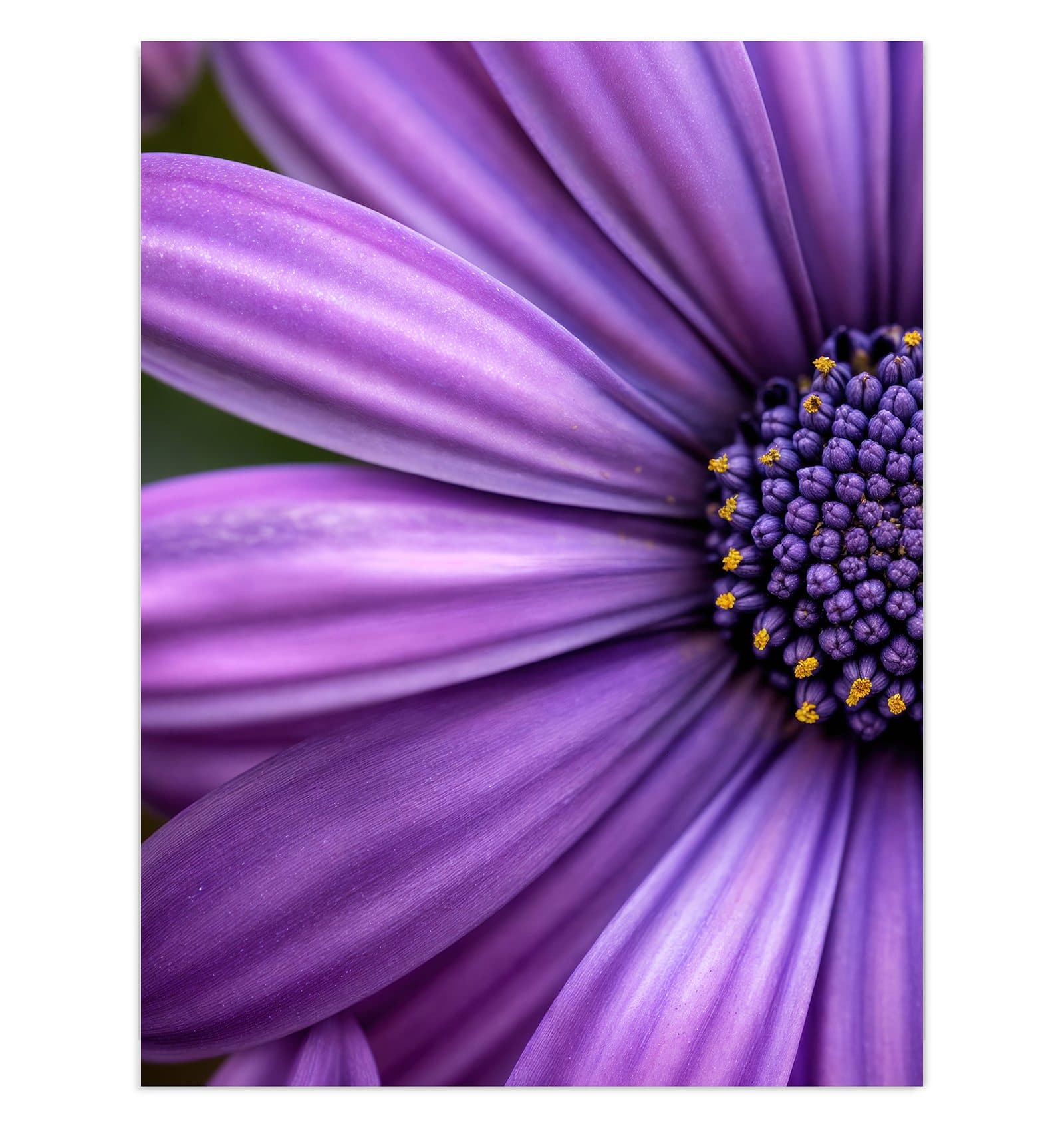 #grösse_30 x 40 cm #grösse_60 x 80 cm #grösse_75 x 100 cm