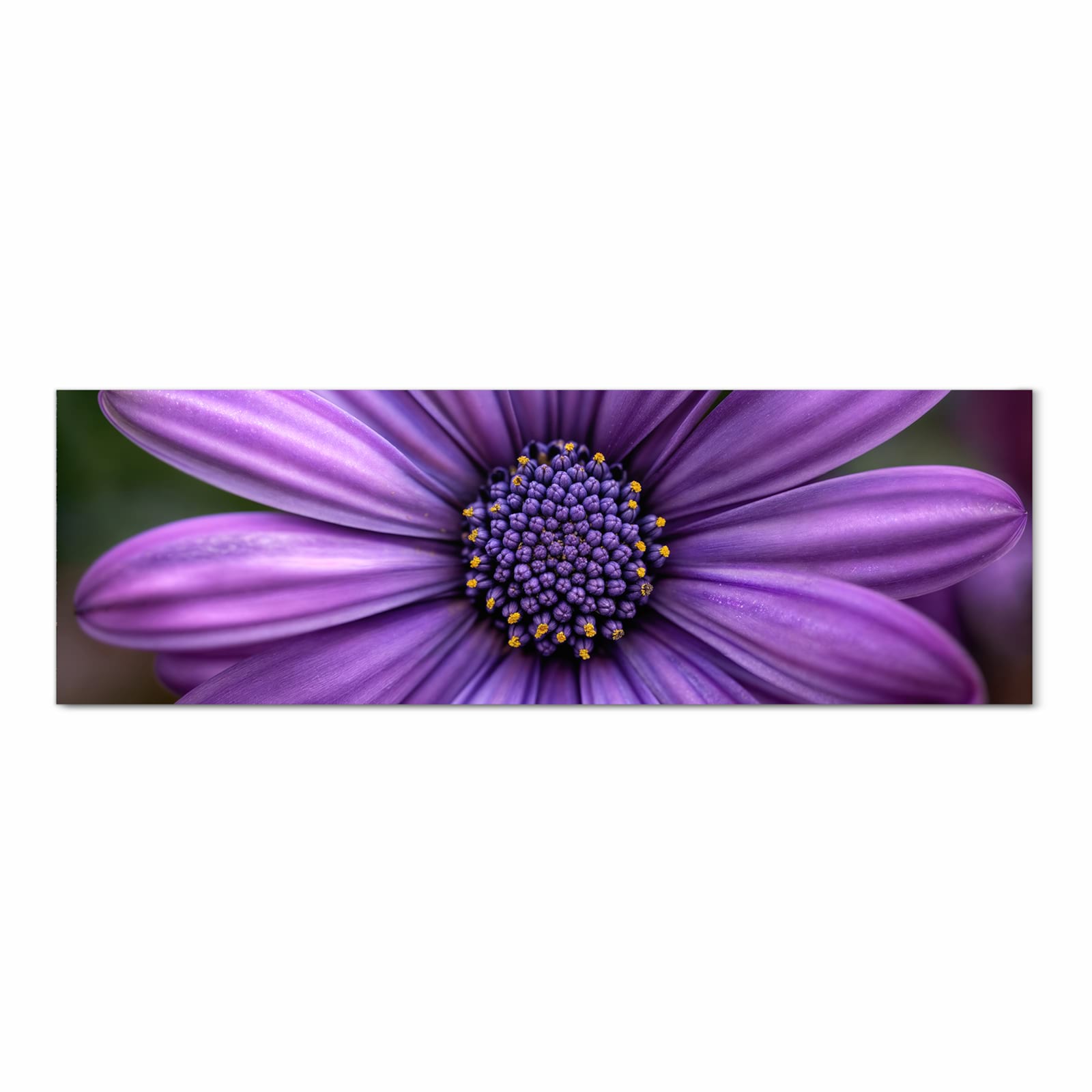 Geruchsneutraler waschbarer Küchenteppich mit Motiv Blume Nahaufnahme in Frontansicht