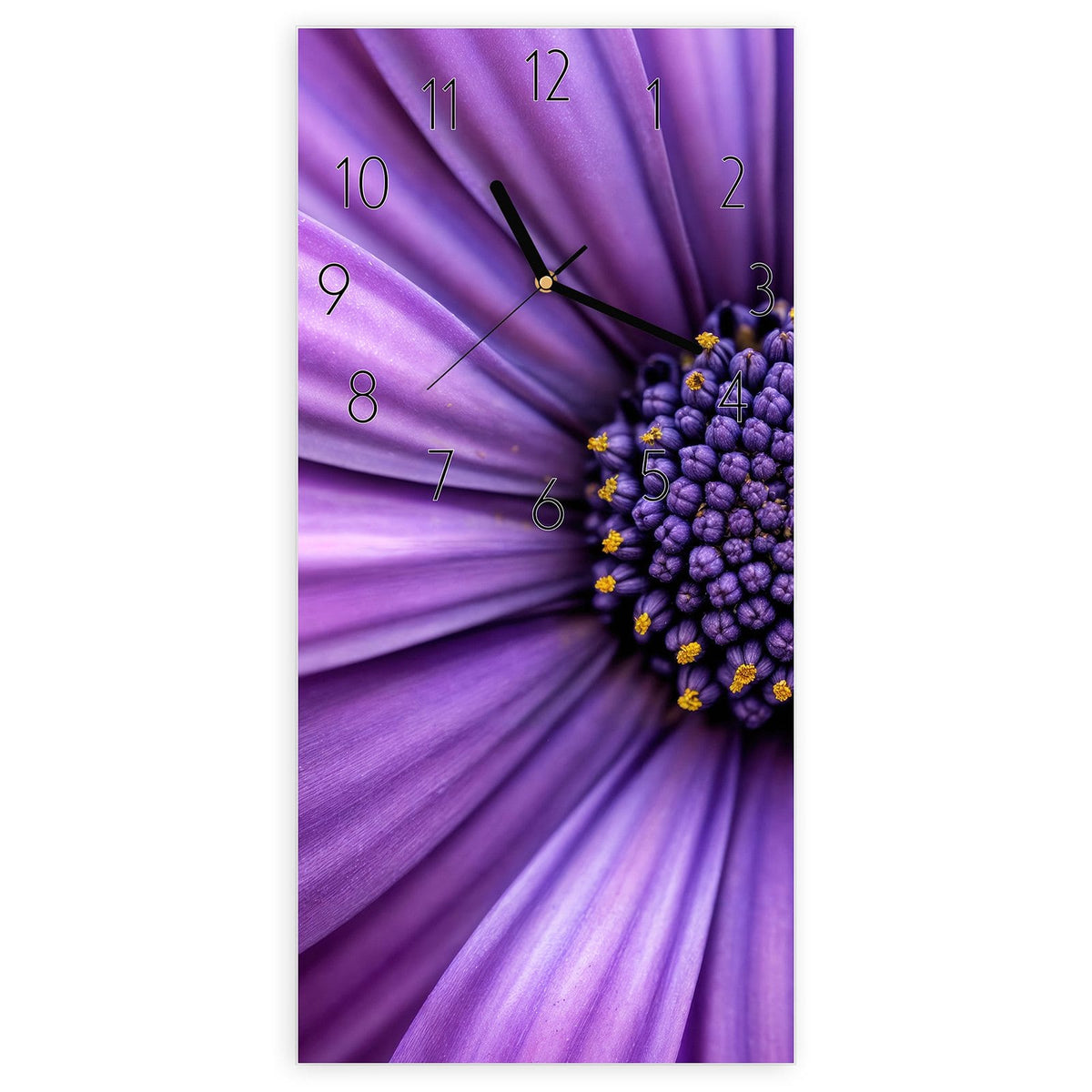 Wanduhr aus Glas, Ziffernblatt Elegant mit Motiv Lila Kapkörbchen: Nahaufnahme eines violetten Kapkörbchens mit dunkelblauem, gelb getupftem Zentrum. #ziffernblatt_Elegant