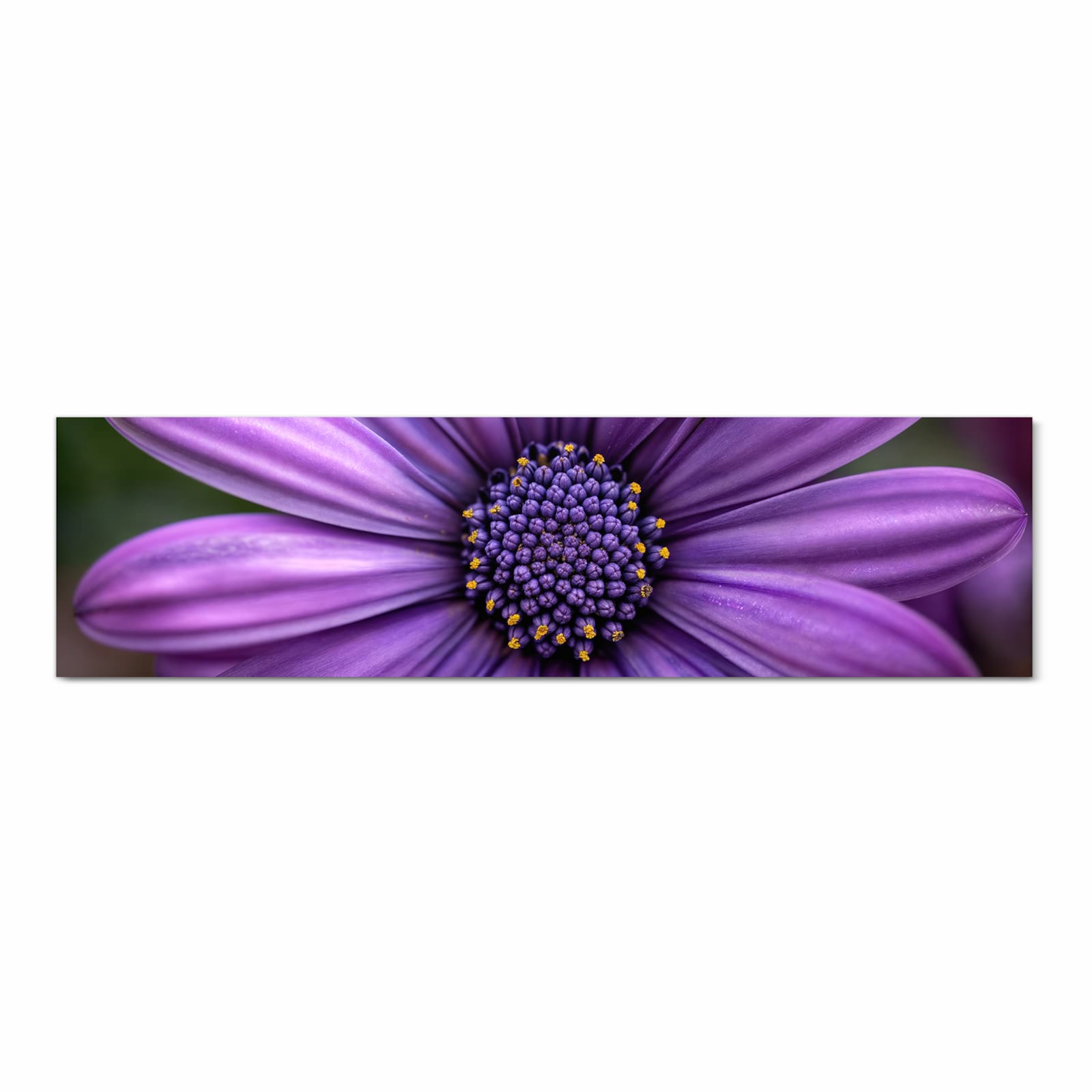 Flacher Küchenläufer mit Motiv Blume Nahaufnahme in Frontansicht