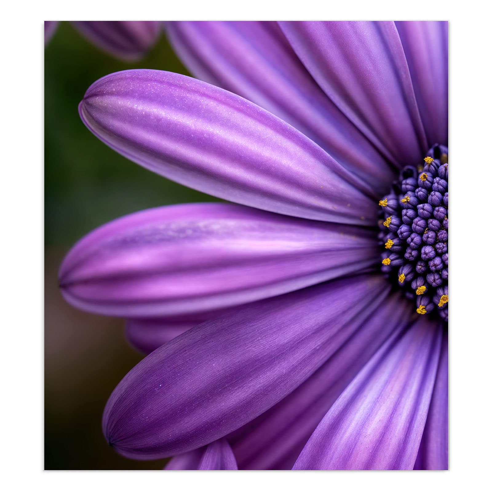 #grösse_90 x 100 cm