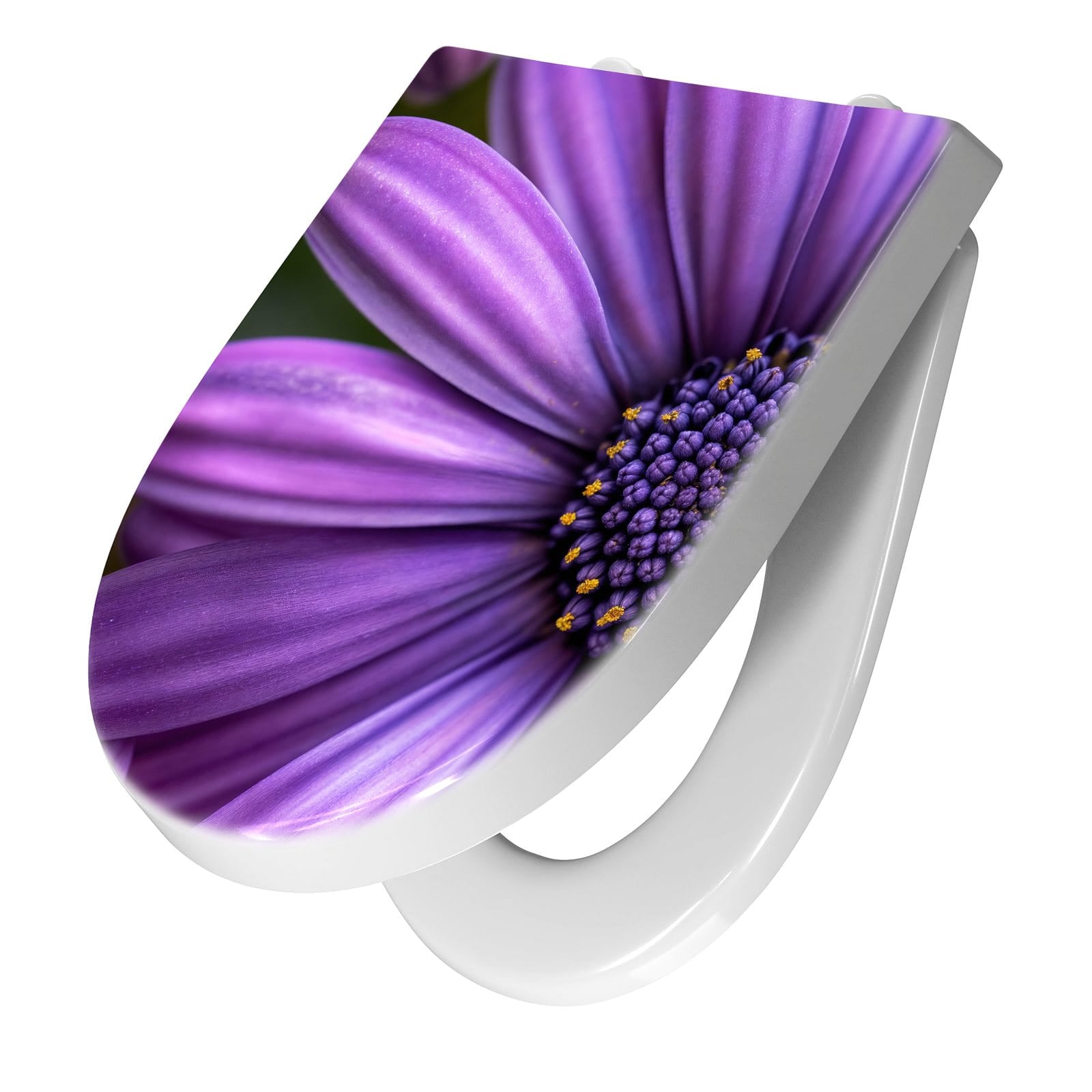 WC-Sitz mit Absenkautomatik Blume Nahaufnahme