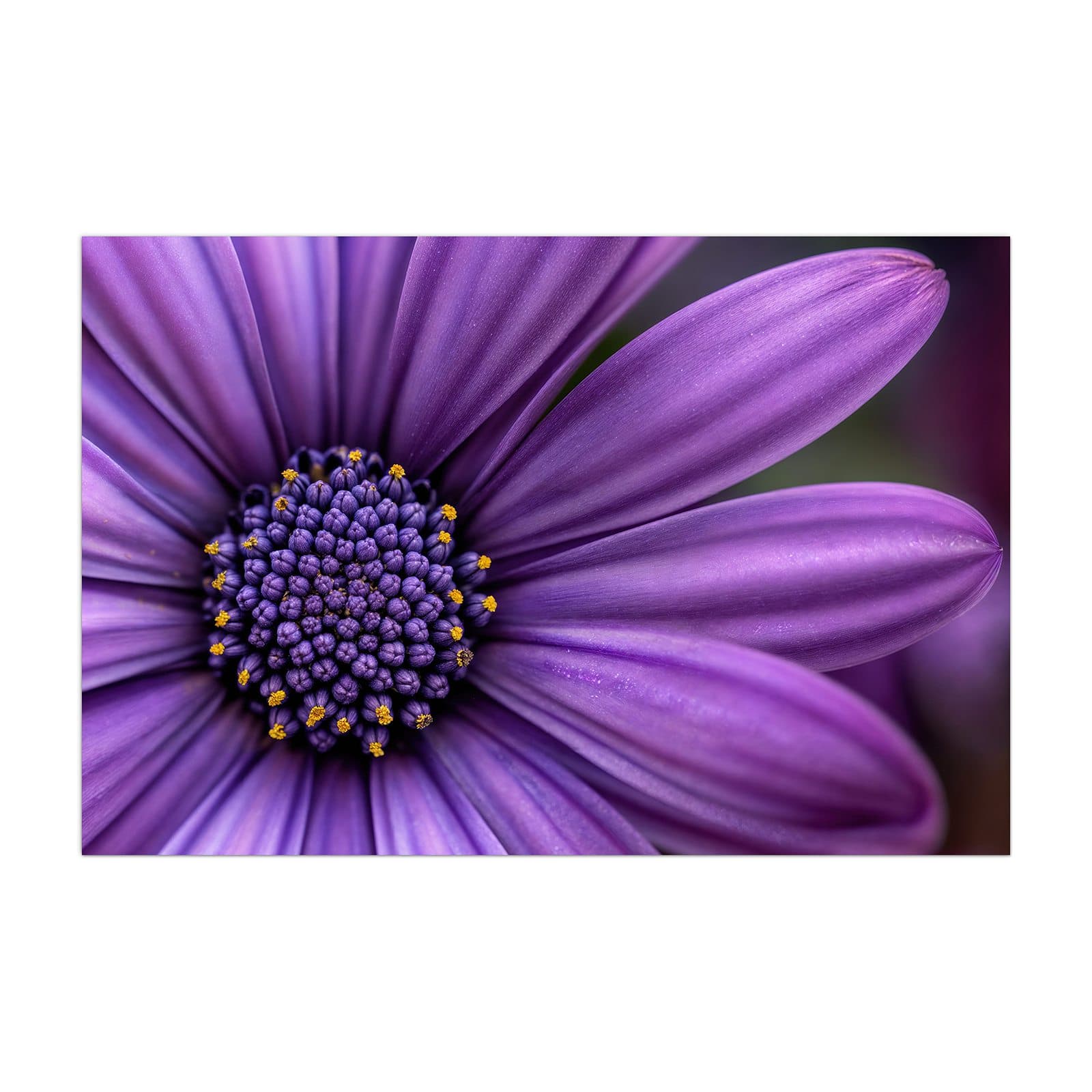 #grösse_40 x 60 cm #grösse_50 x 75 cm #grösse_60 x 90 cm #grösse_80 x 120 cm