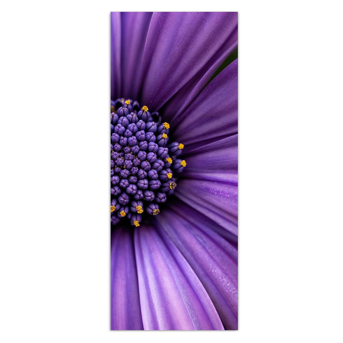 Wandbild - Lila Kapkörbchen - Hochformat – Violette Blüte mit dunkelblauem Zentrum