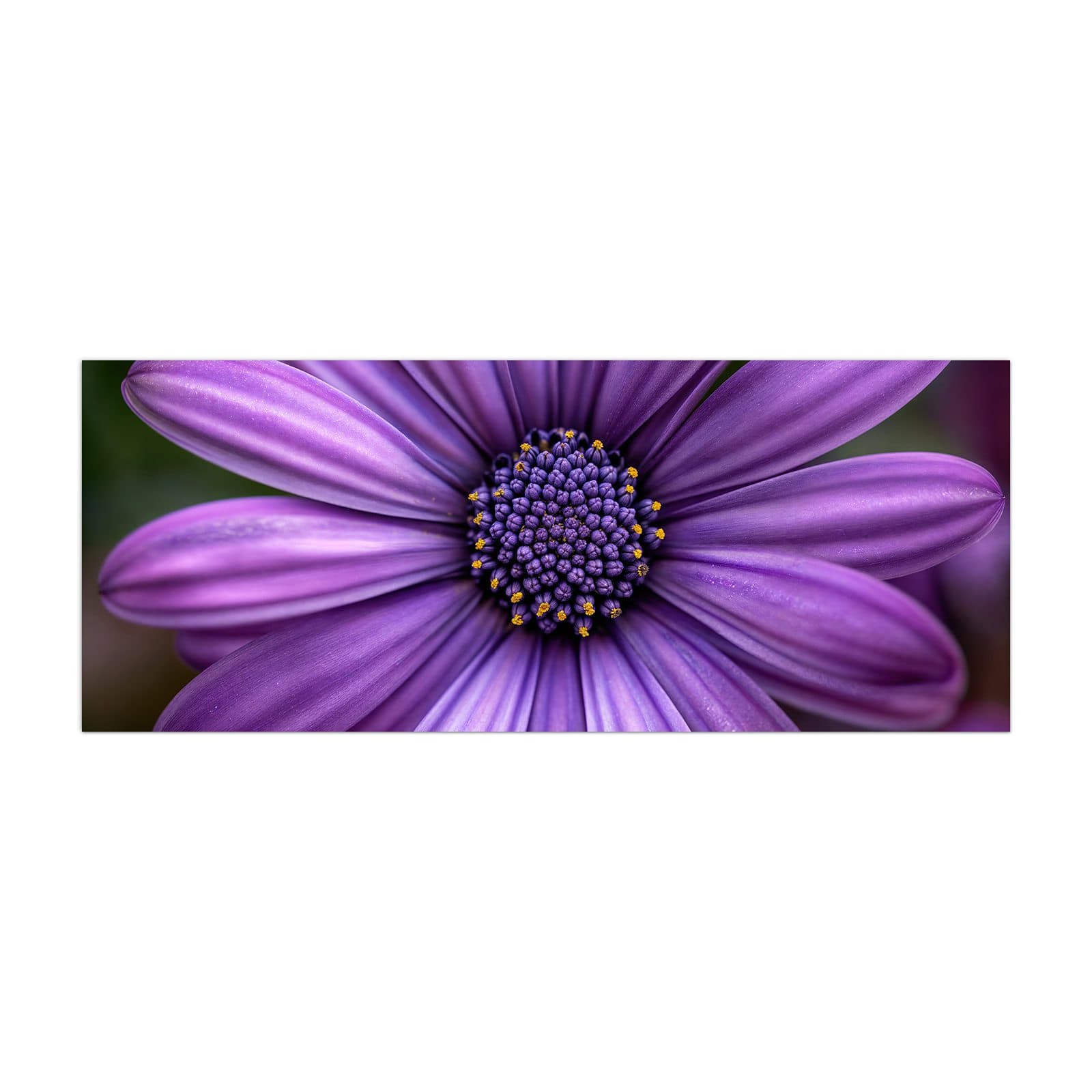 #grösse_40 x 100 cm #grösse_50 x 125 cm #grösse_60 x 150 cm