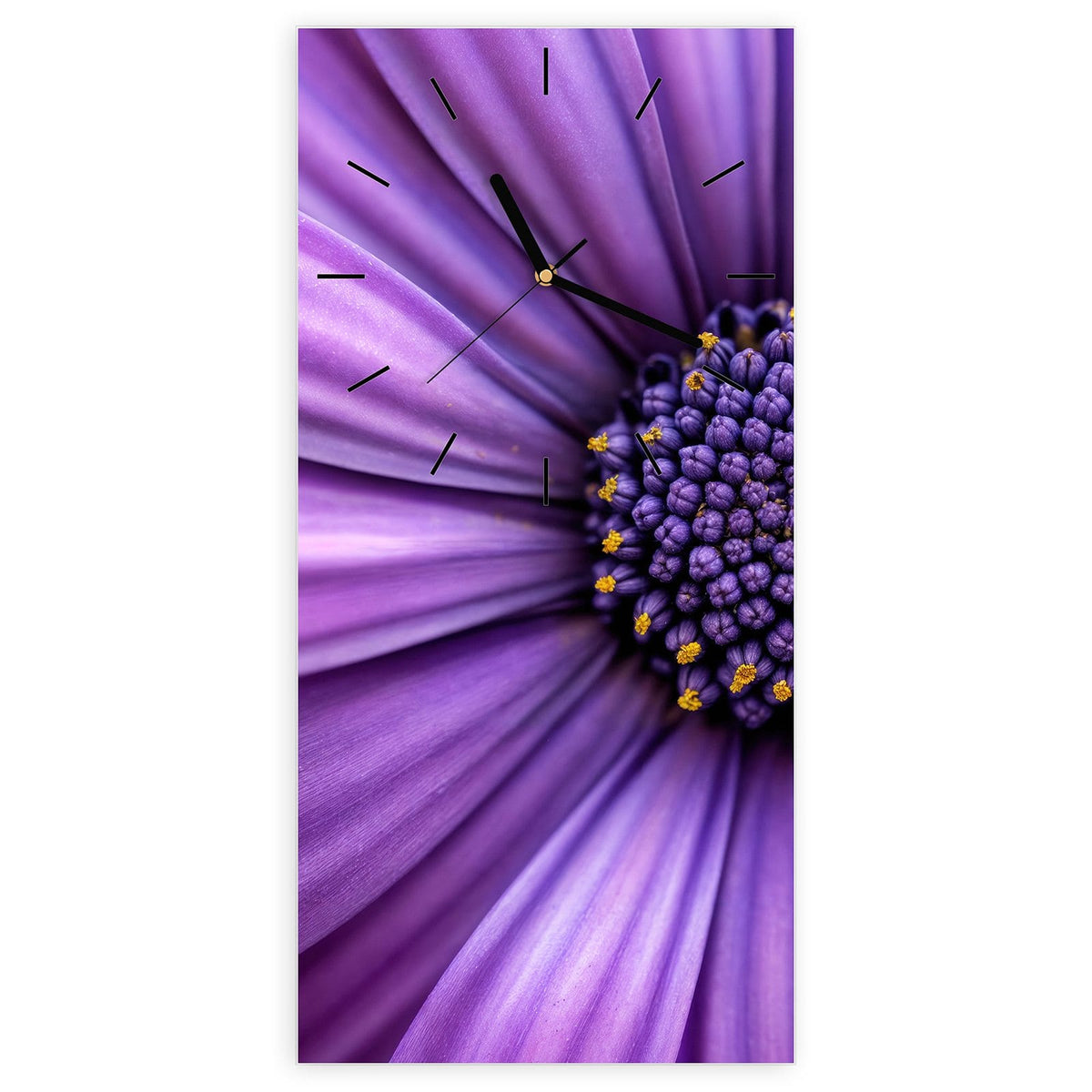 Wanduhr aus Glas, Ziffernblatt Linie mit Motiv Lila Kapkörbchen: Nahaufnahme eines violetten Kapkörbchens mit dunkelblauem, gelb getupftem Zentrum.