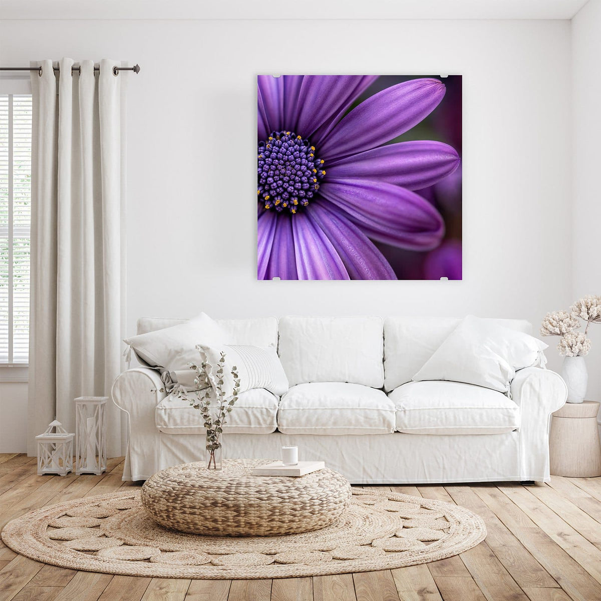 Glasbild Lila Kapkörbchen an der Wand – Nahaufnahme eines violetten Kapkörbchens mit dunkelblauem, gelb getupftem Zentrum.