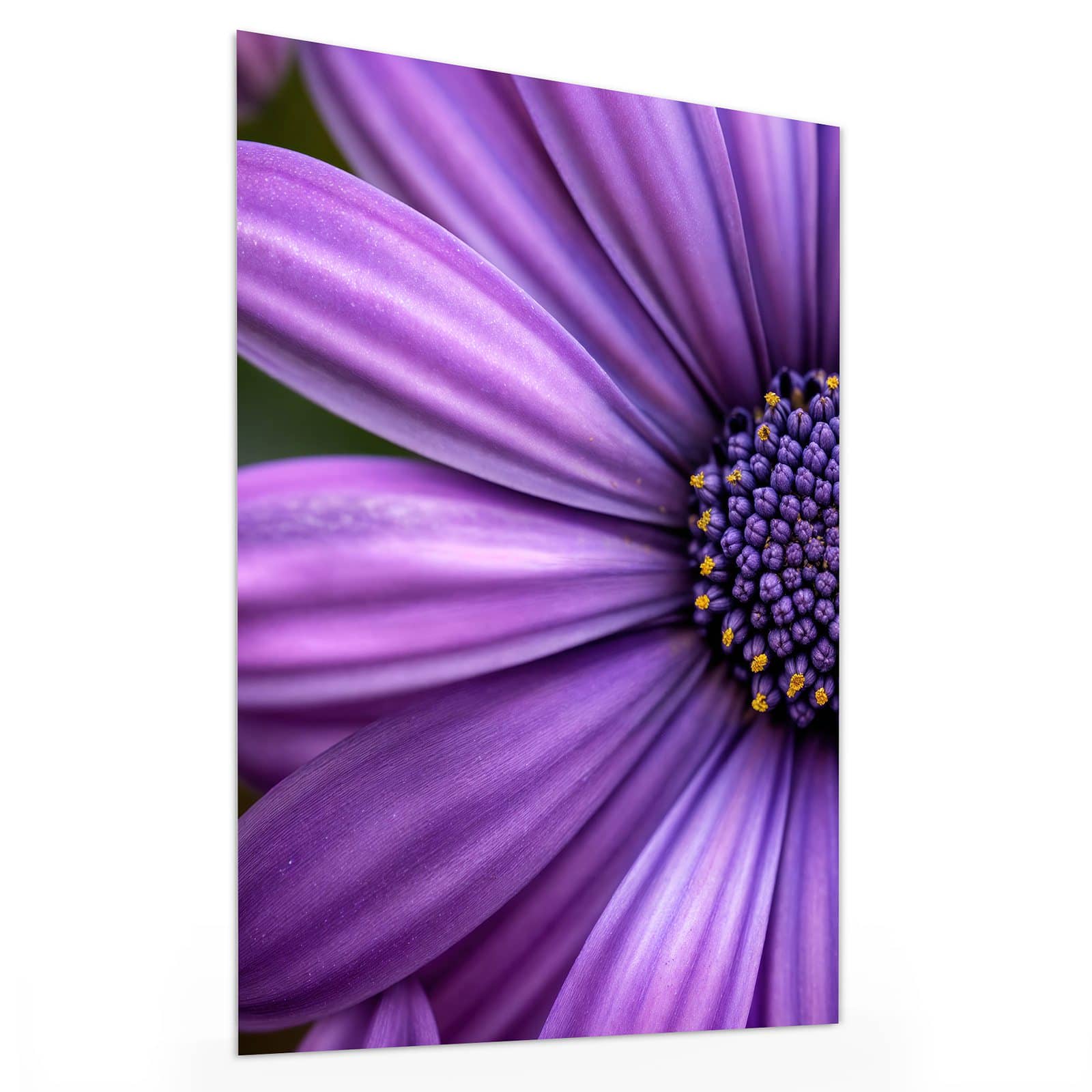 #grösse_30 x 40 cm #grösse_60 x 80 cm #grösse_75 x 100 cm