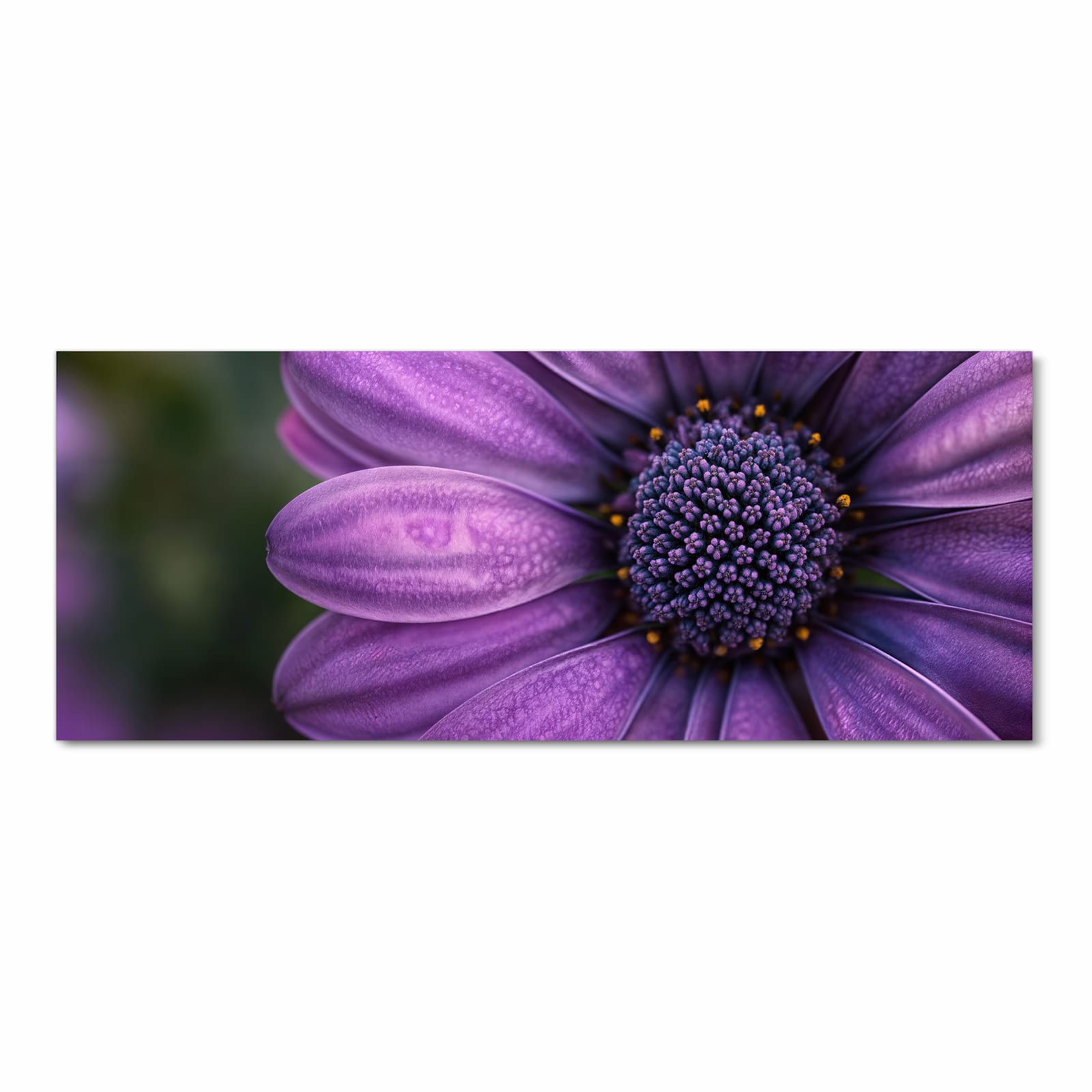 Langlebiger dünner Küchenteppich mit Motiv Lila Blütenwunder in Frontansicht