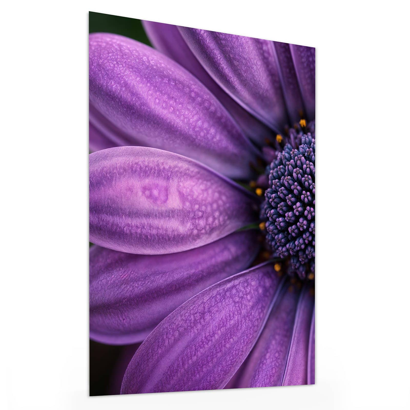 #grösse_30 x 40 cm #grösse_60 x 80 cm #grösse_75 x 100 cm