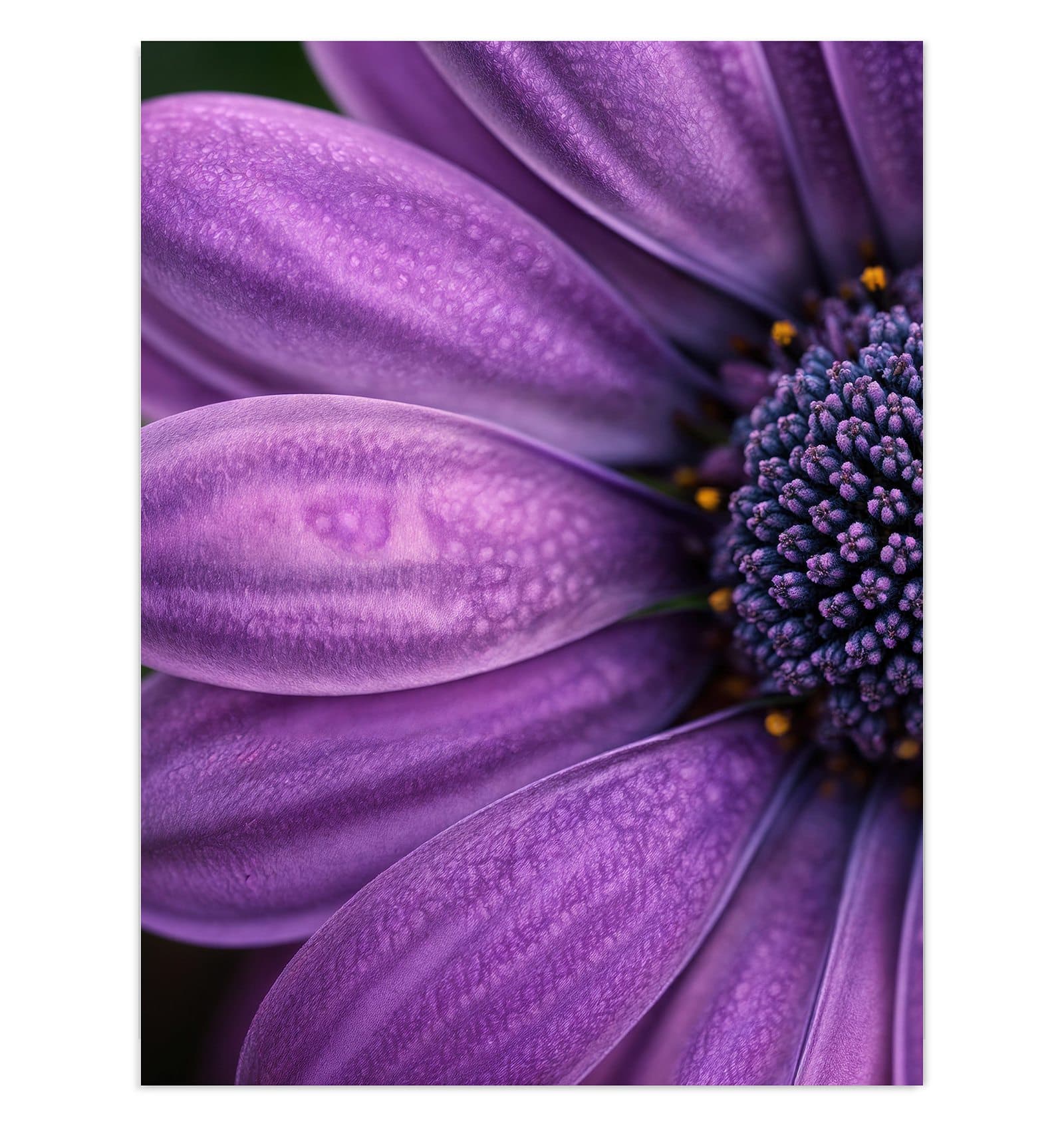 #grösse_30 x 40 cm #grösse_60 x 80 cm #grösse_75 x 100 cm