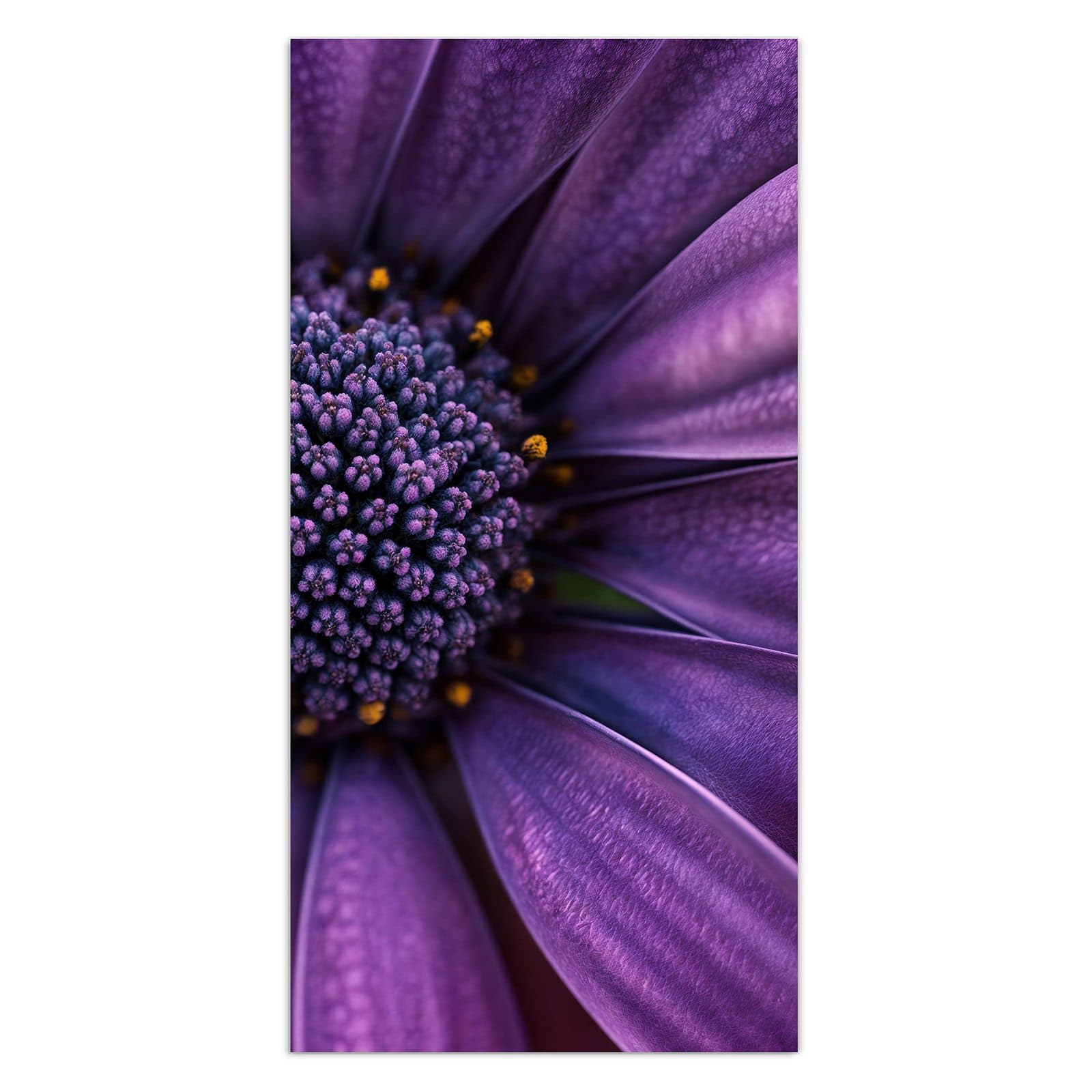 #grösse_30 x 60 cm #grösse_40 x 80 cm #grösse_50 x 100 cm #grösse_55 x 110 cm #grösse_60 x 120 cm