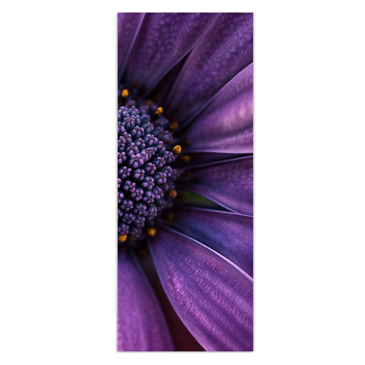 Wandbild - Violette Samtblüte - Hochformat – Samtige Blüte in tiefem Lila