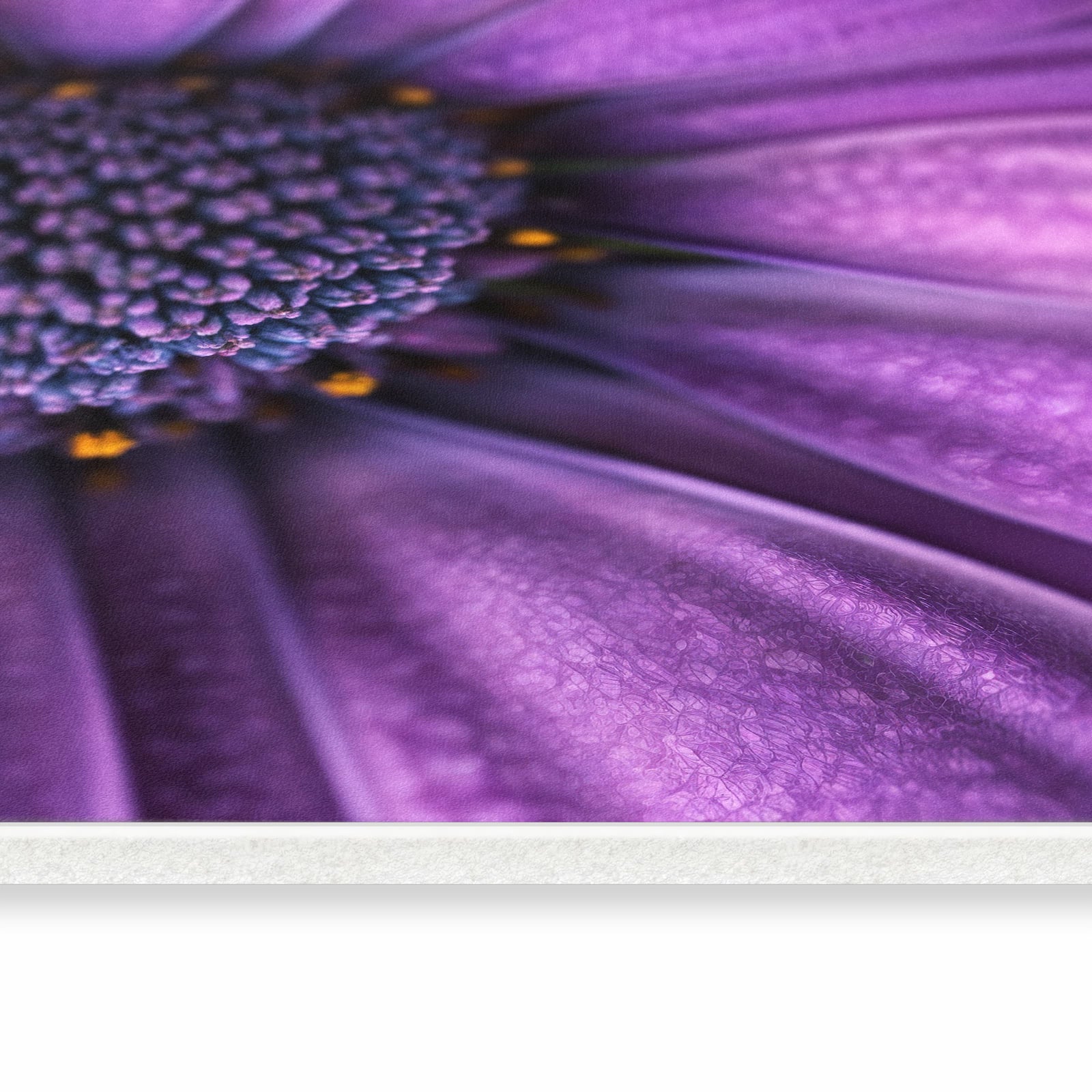 Schmutzabweisender waschbarer Küchenteppich mit Motiv Lila Blütenwunder in seitlicher Ansicht