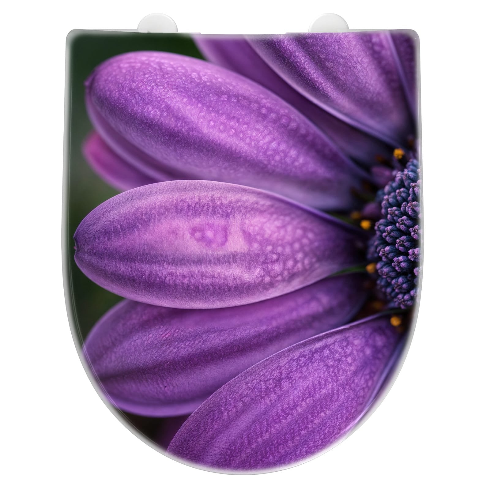 WC-Sitz mit Absenkautomatik Lila Blütenwunder