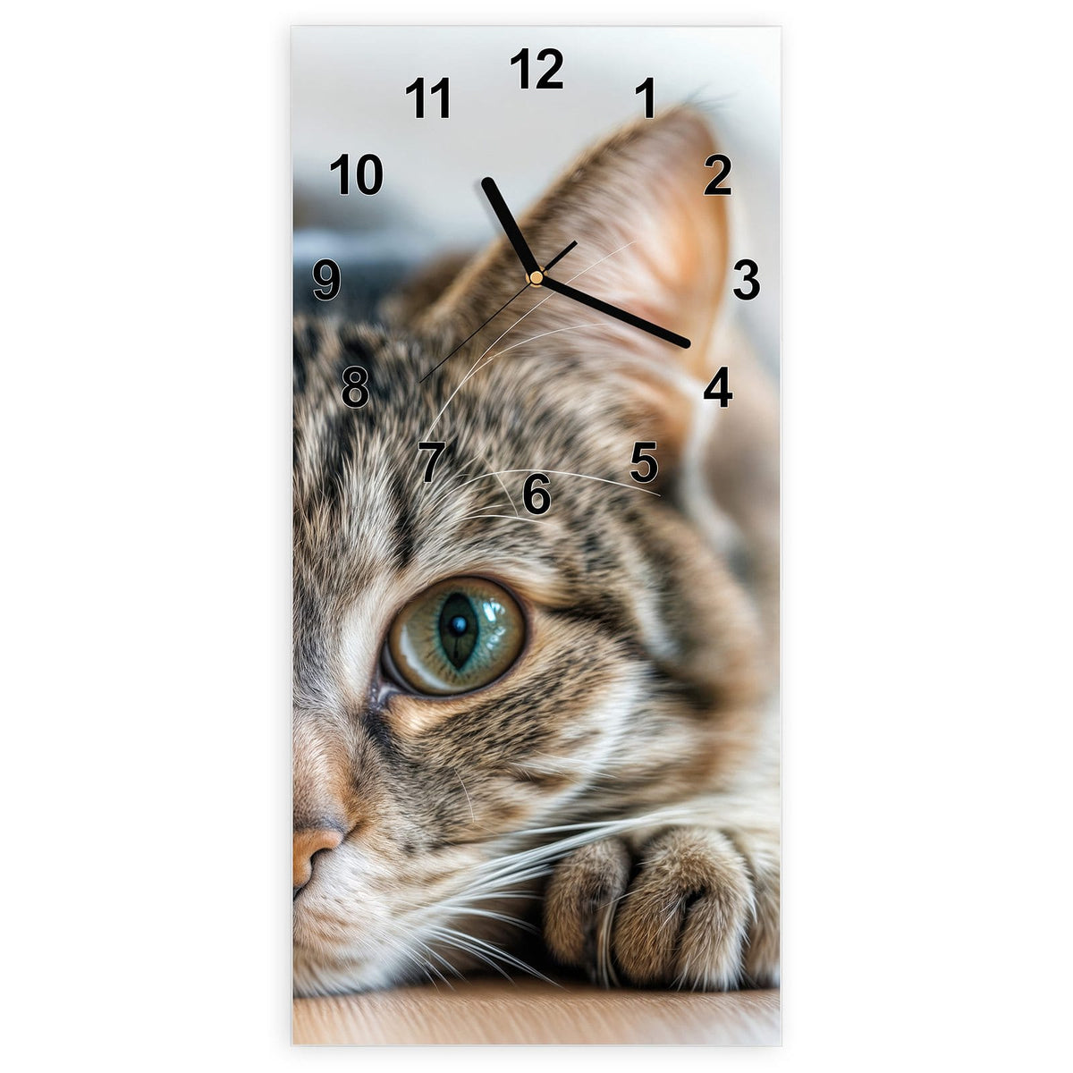 Wanduhr aus Glas, Ziffernblatt Modern mit Motiv Liegende Katze: Getigerte Katze liegt flach, Kopf zwischen den Vorderpfoten, große grüne Augen
