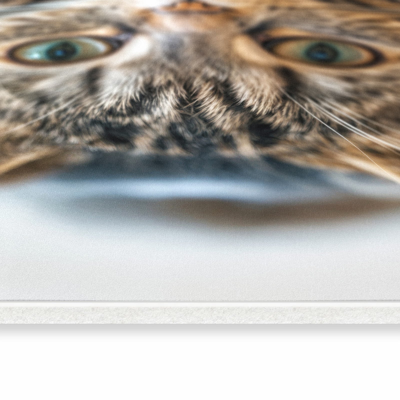 Wasserabweisender dünner Teppich mit Motiv Katzenschmuseerlebnis in seitlicher Ansicht