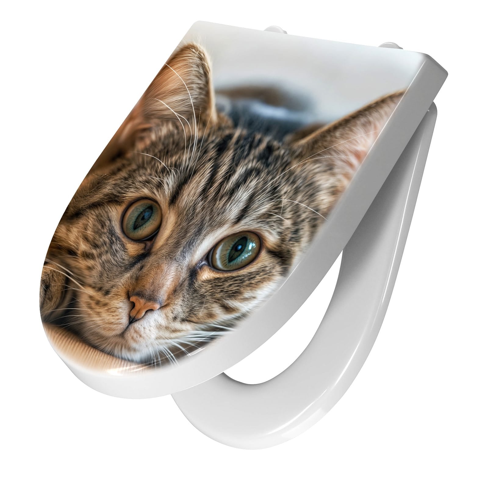 WC-Sitz mit Absenkautomatik Katzenschmuseerlebnis