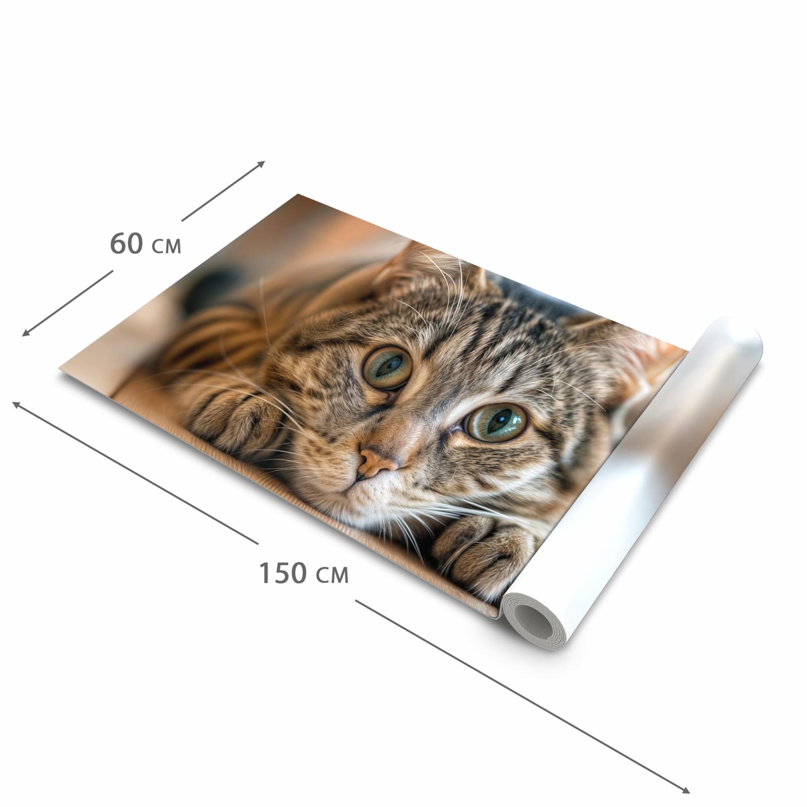 Zeitsparender waschbarer Küchenteppich mit Motiv Katzenschmuseerlebnis in der Grösse 60x240 cm