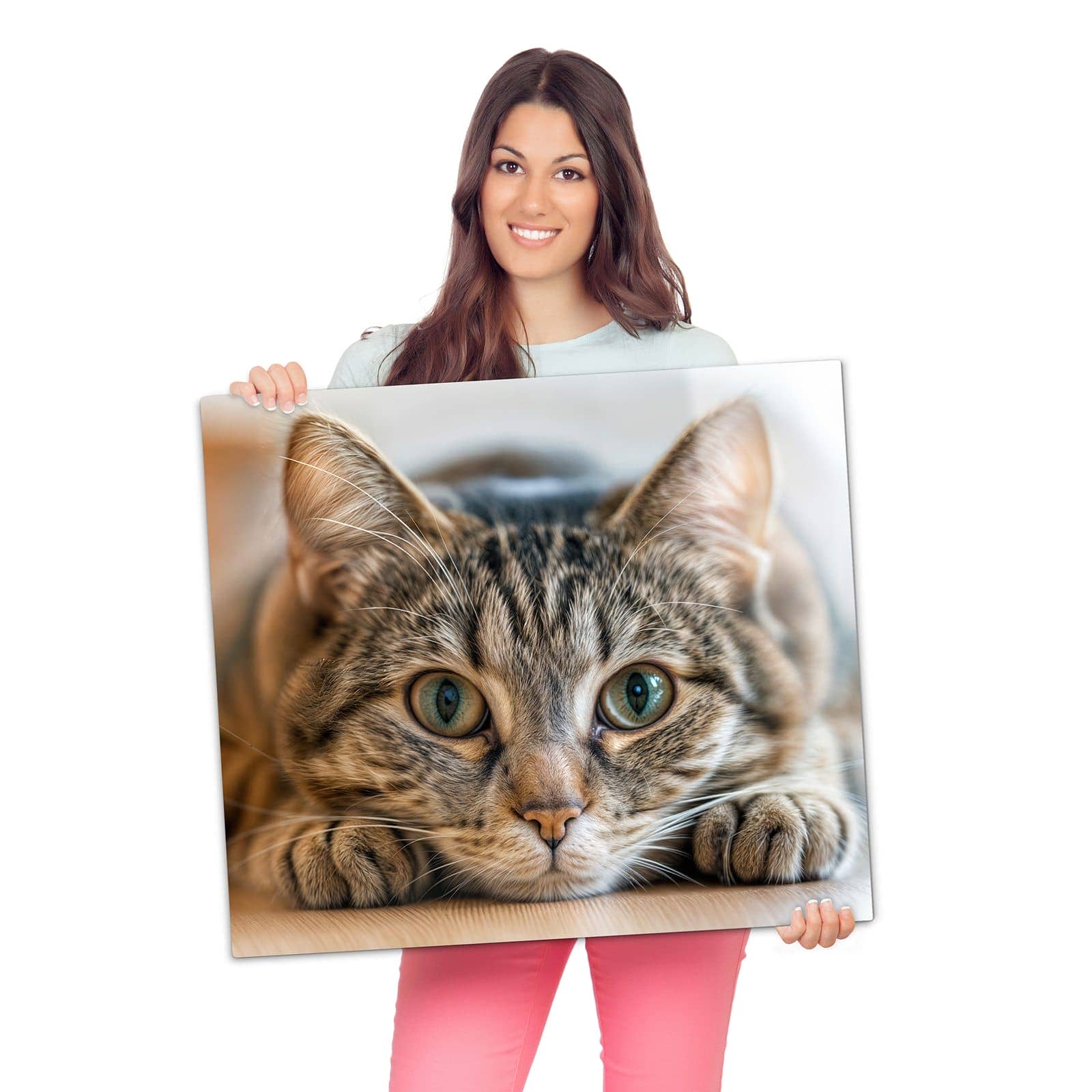 Glasabdeckplatte für Ceranfeld mit Kuschelnde Katze-Motiv wird zur Größendarstellung gehalten