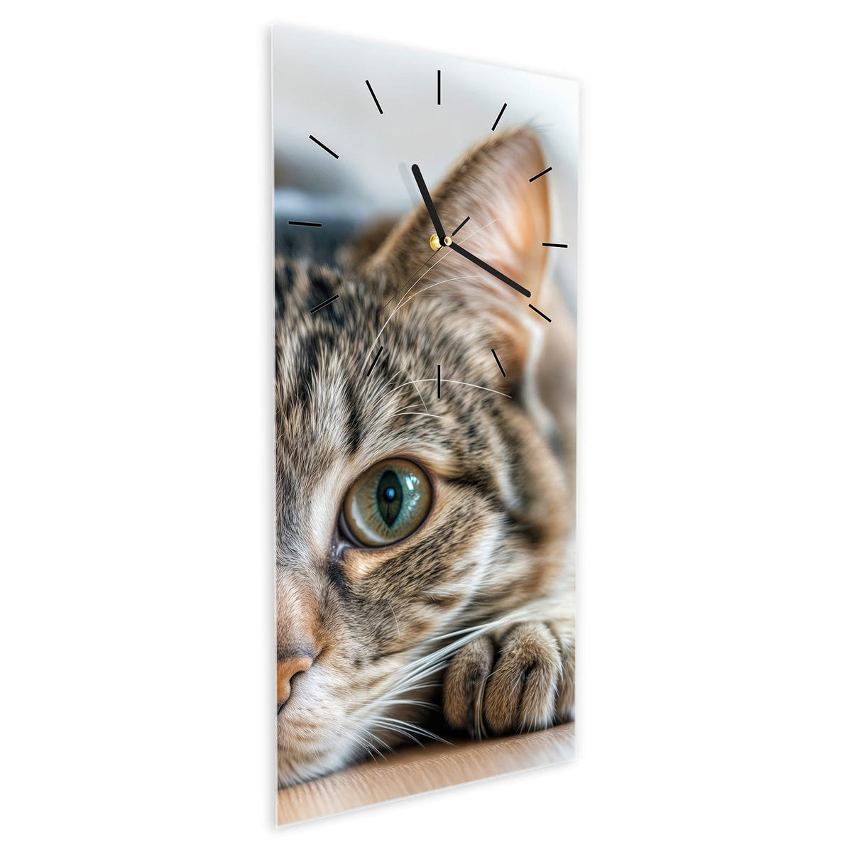 Wanduhr aus Glas im Hochformat Liegende Katze schräg von der Seite, 4 mm starkes Glas