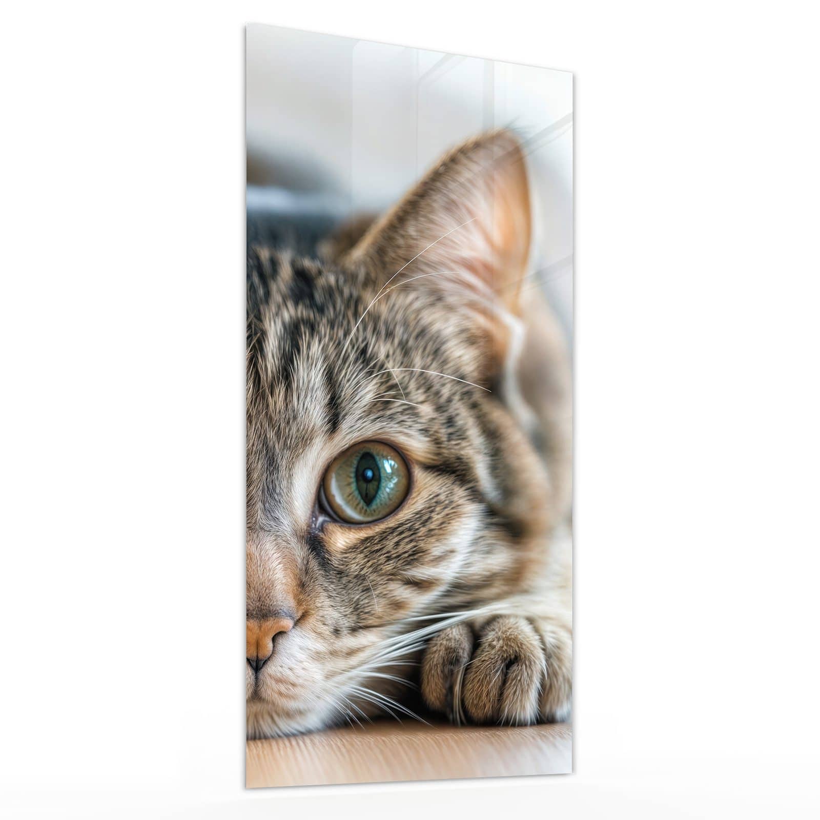 #grösse_30 x 60 cm #grösse_40 x 80 cm #grösse_50 x 100 cm #grösse_55 x 110 cm #grösse_60 x 120 cm