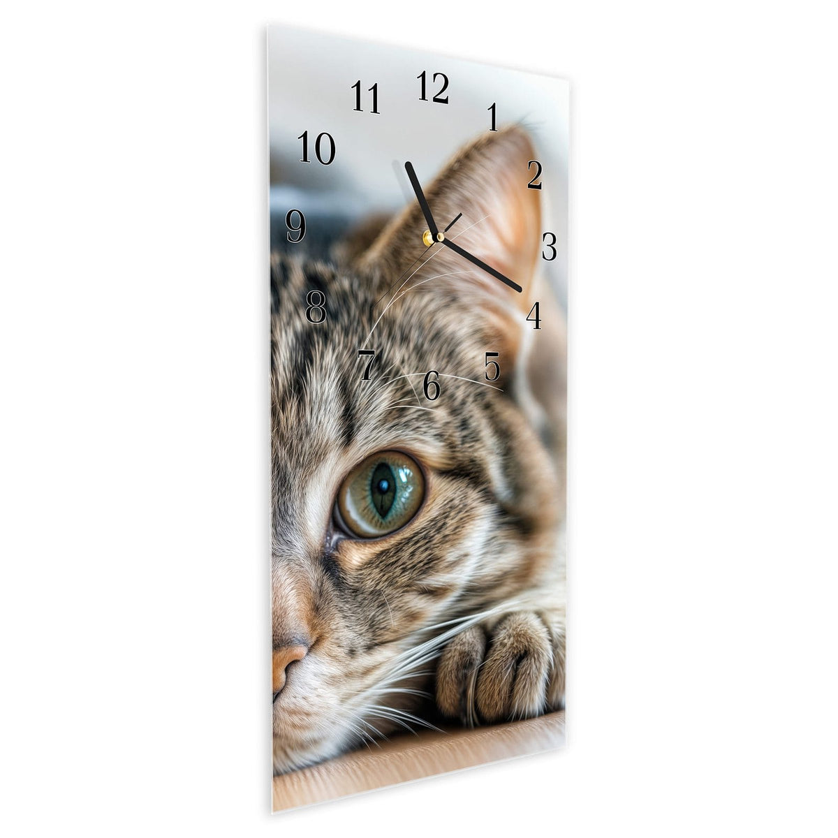 Wanduhr aus Glas im Hochformat Liegende Katze schräg von der Seite, 4 mm starkes Glas