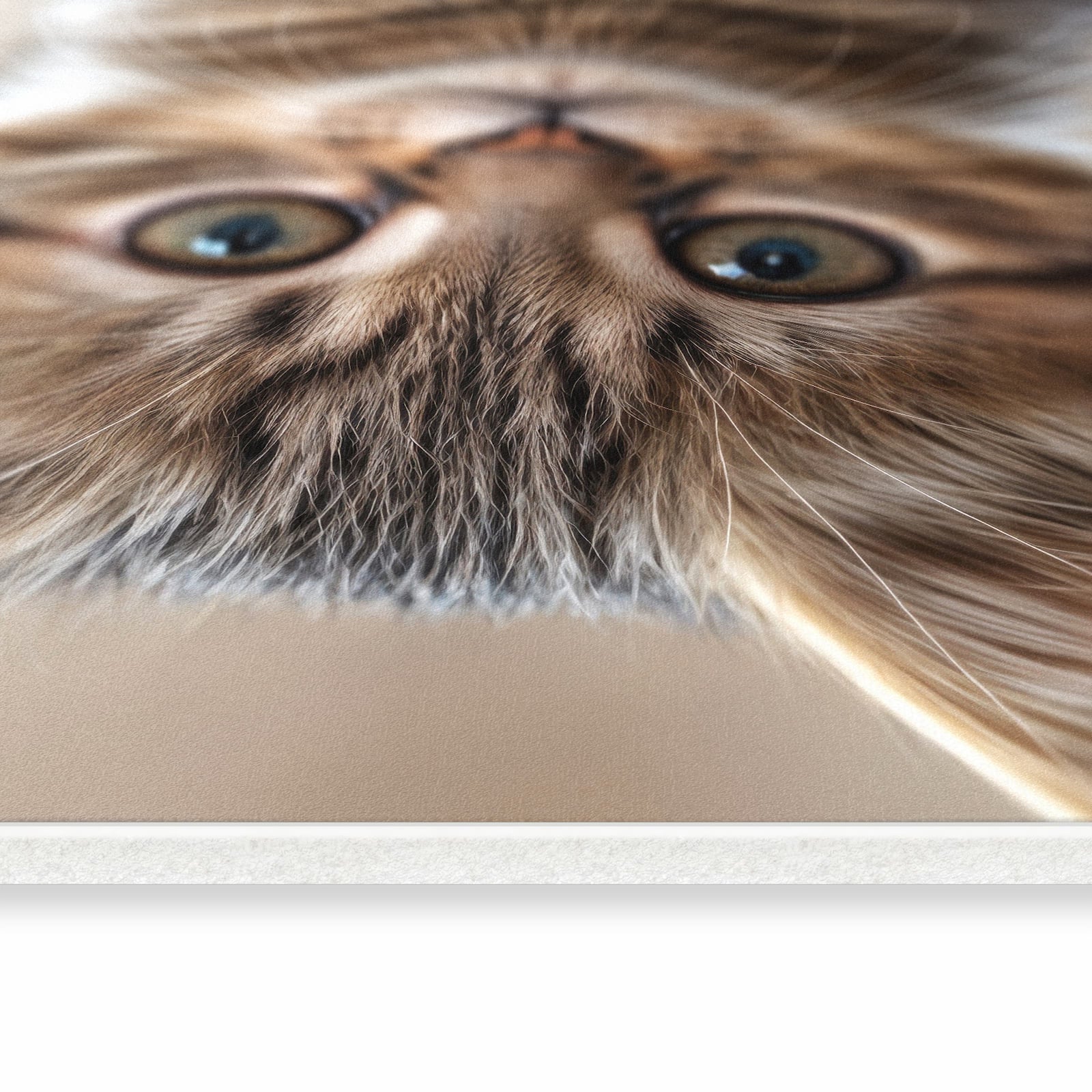 UV-beständiger Läufer für Eingangsbereich mit Motiv Katzenjunges in seitlicher Ansicht