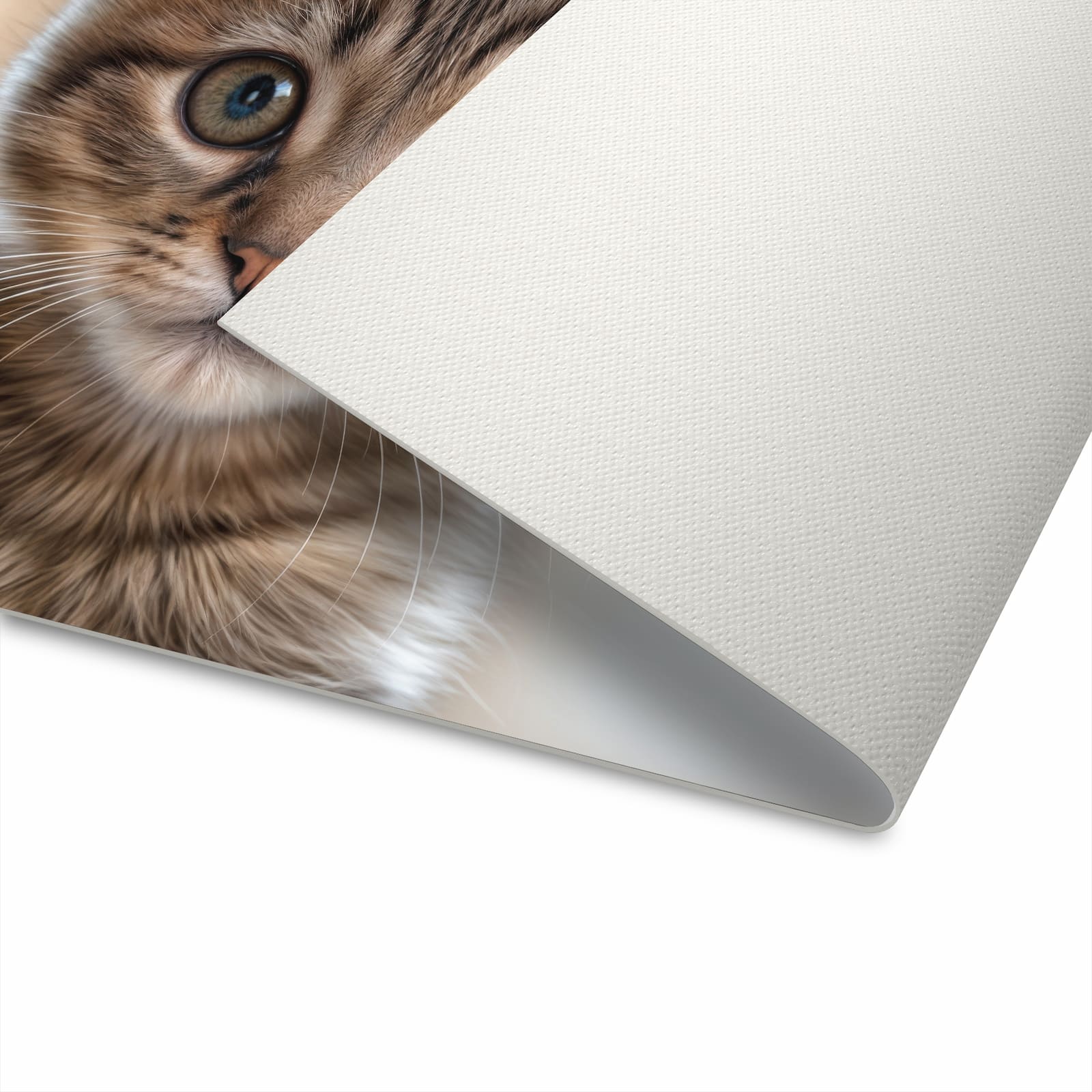 Langlebiger Küchenvorleger mit Motiv Katzenjunges in der Unterseite