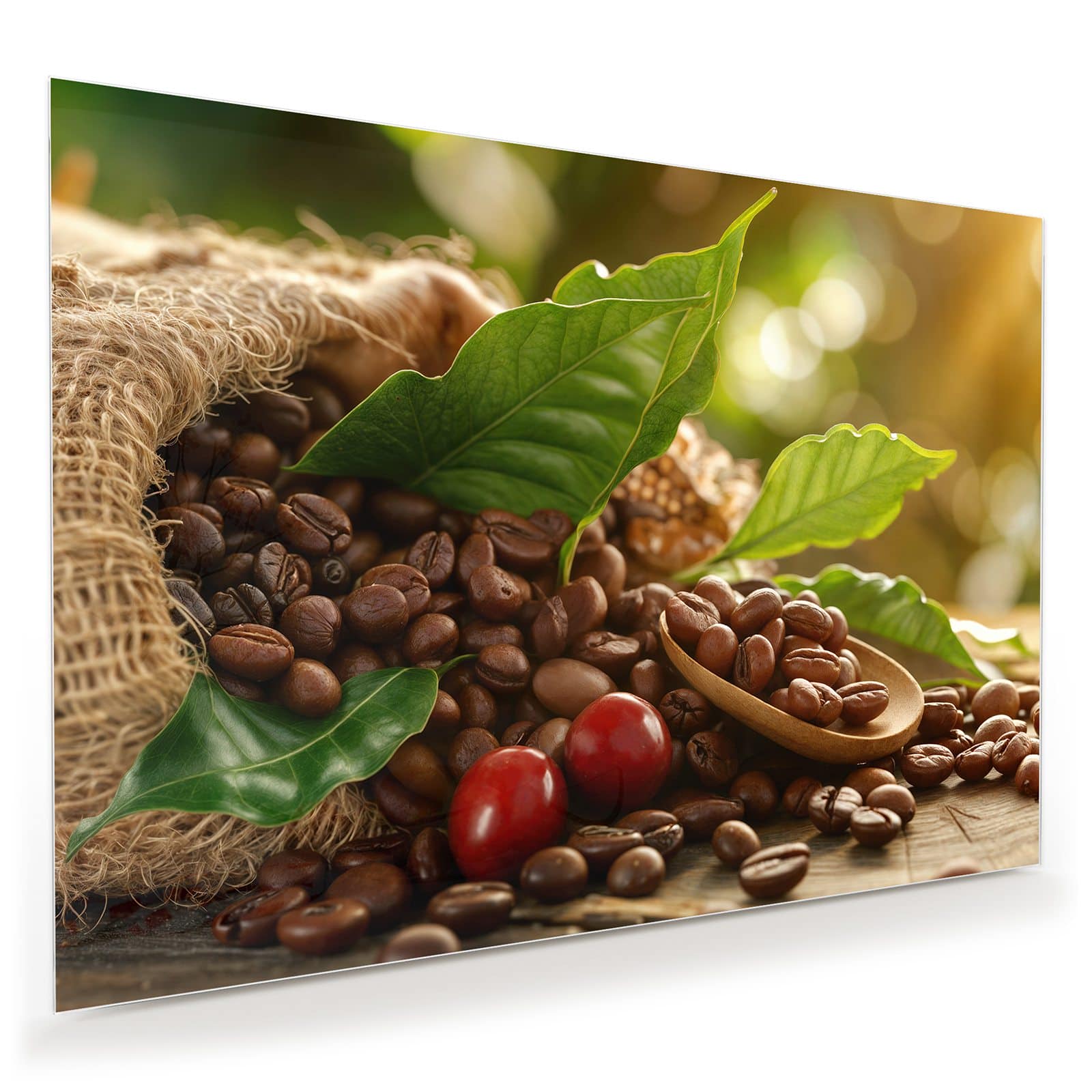 #grösse_100 x 70 cm