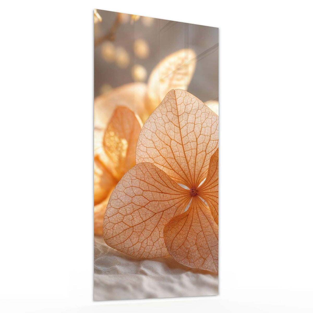 Glasbild Hortensie in Apricot von der Seite, 4 mm Echtglas