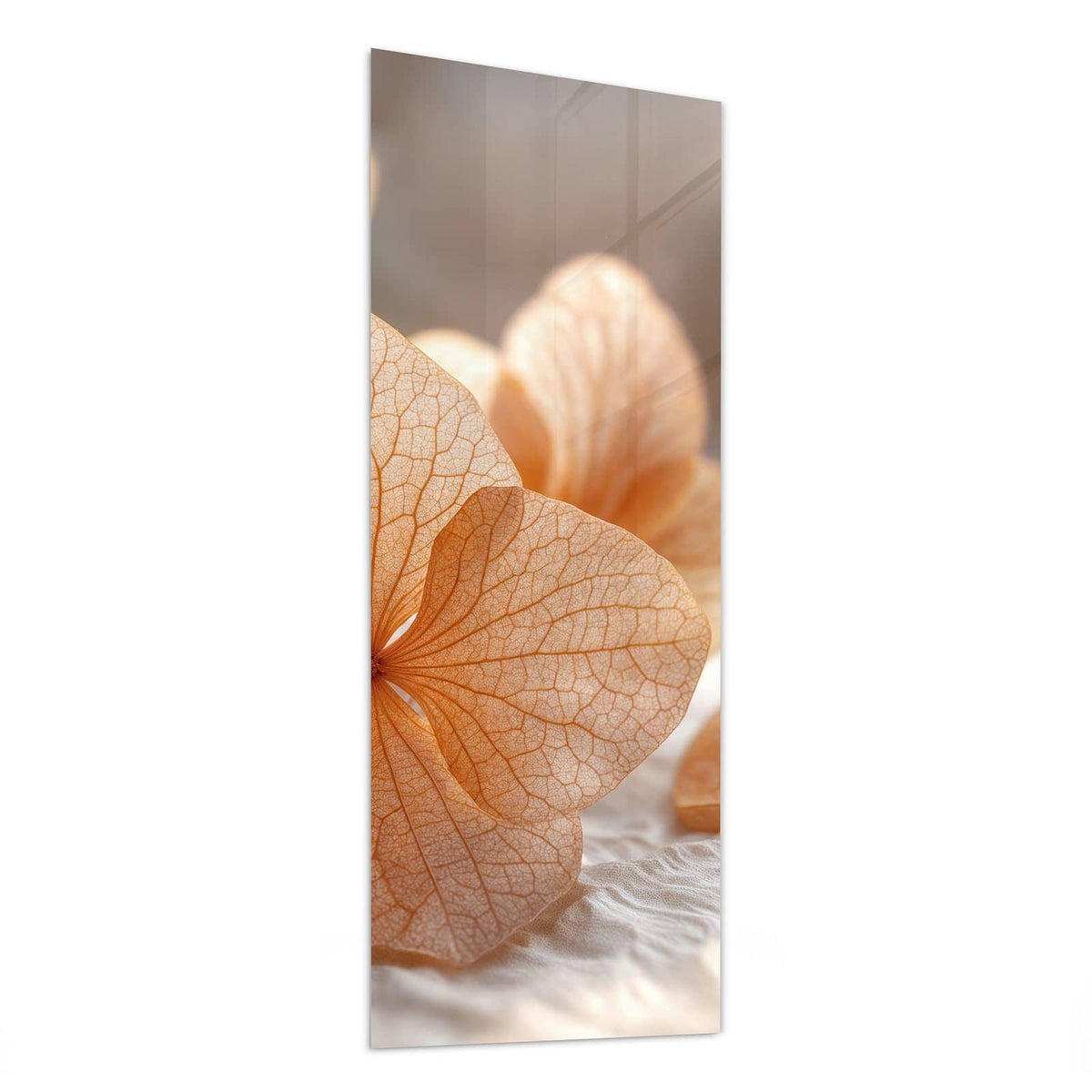 Glasbild Hortensie in Apricot von der Seite, 4 mm Echtglas
