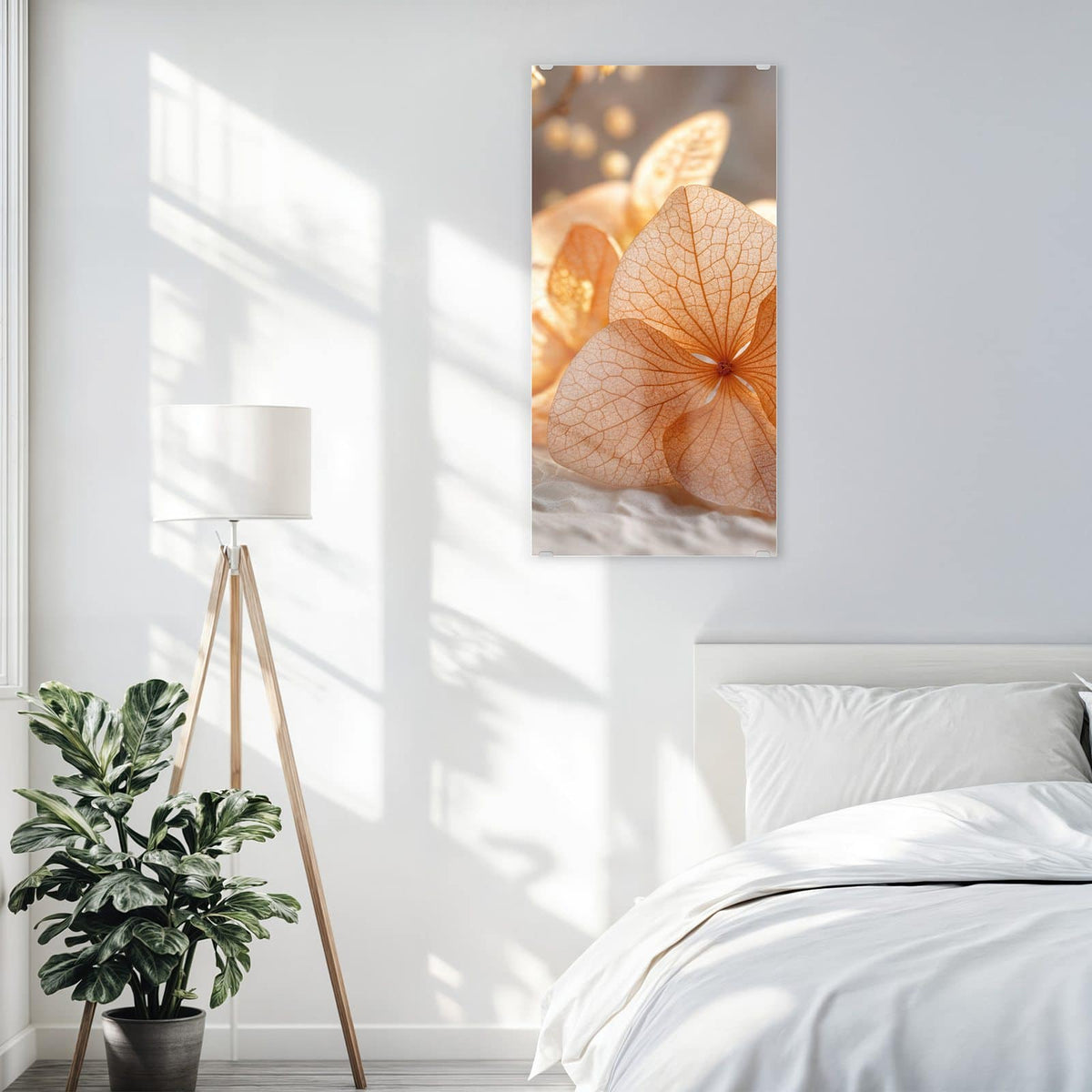 Glasbild Hortensie in Apricot an der Wand – Durchscheinende, fein geäderte Hortensienblüten in Apricot auf hellem Stoff.