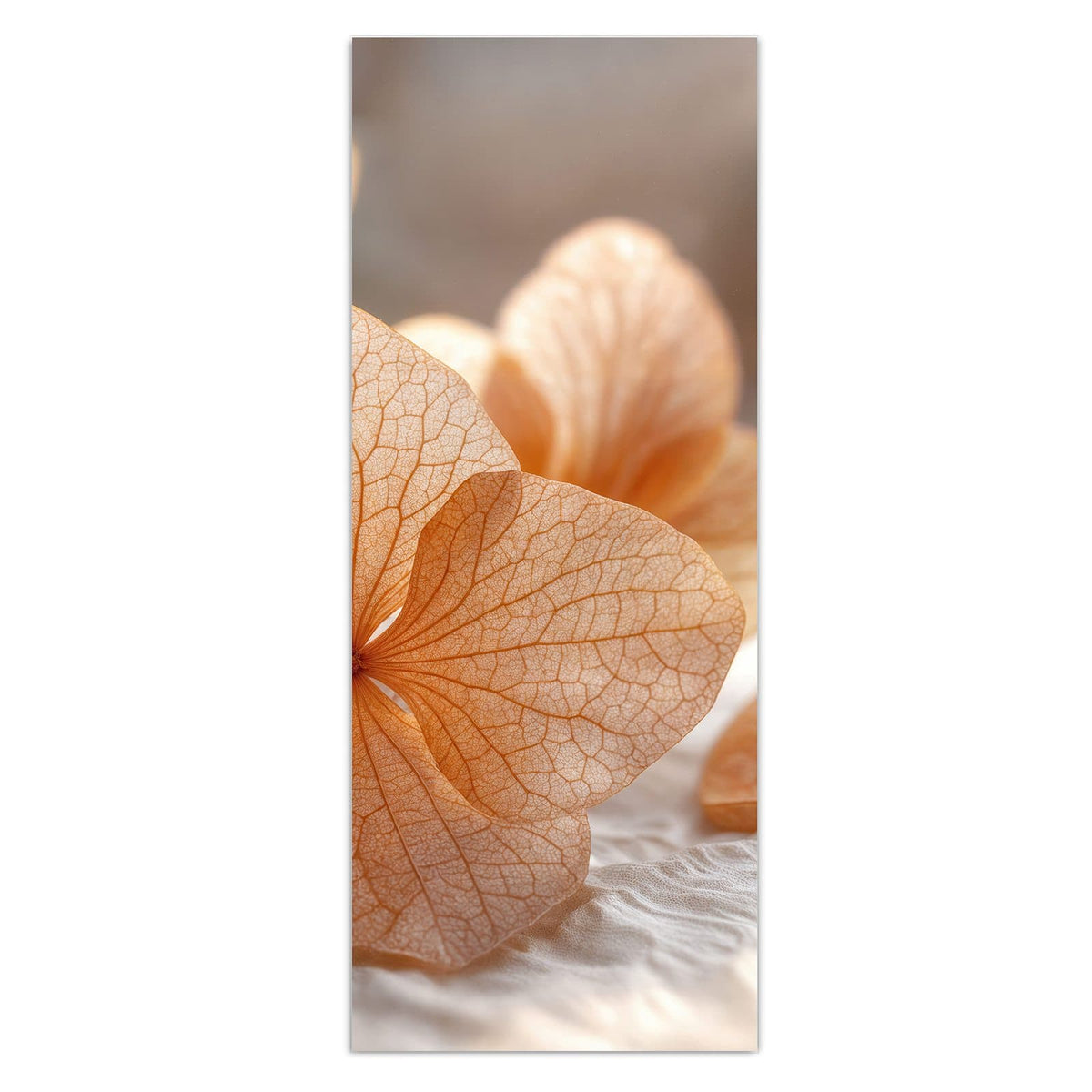 Durchscheinende, fein geäderte Hortensienblüten in Apricot auf hellem Stoff.