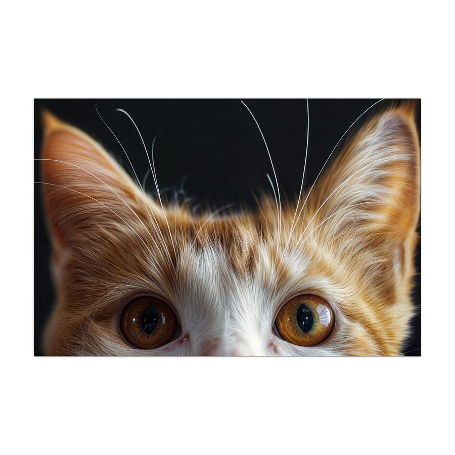 Maße Küchenrückwand Katze mit Bernsteinaugen aus Glas