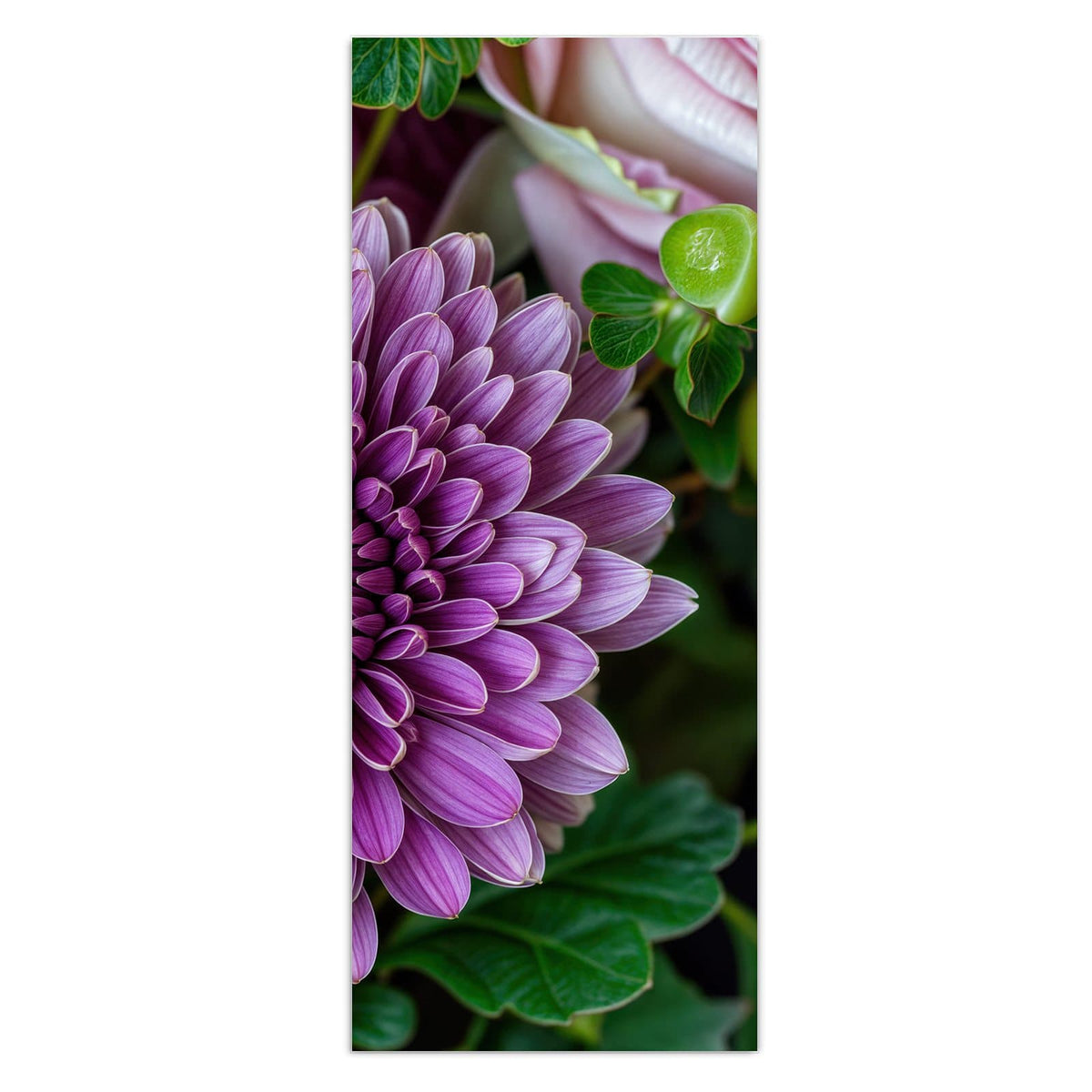 Violette Chrysantheme im Zentrum, umgeben von rosa Rosen und grünen Beeren