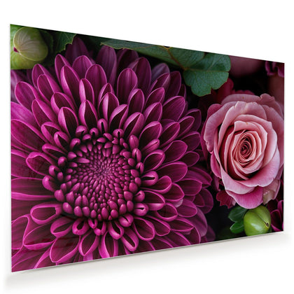 Wandbild mit dem Motiv Magenta Chrysantheme