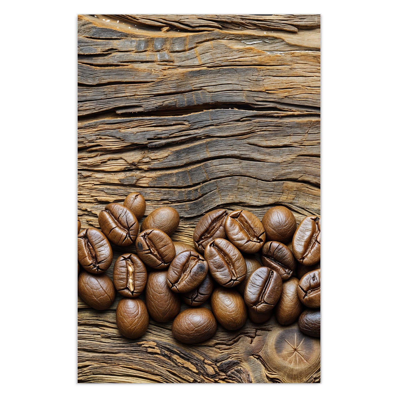 #grösse_40 x 60 cm #grösse_50 x 75 cm #grösse_60 x 90 cm