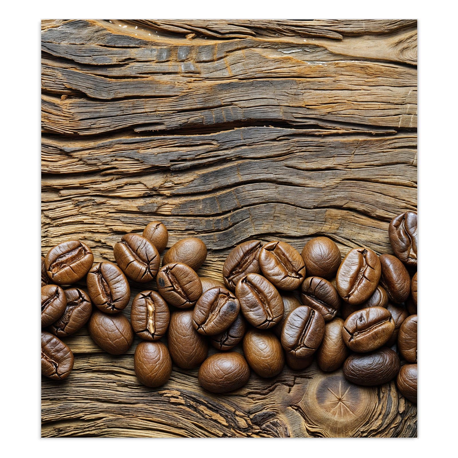 #grösse_90 x 100 cm